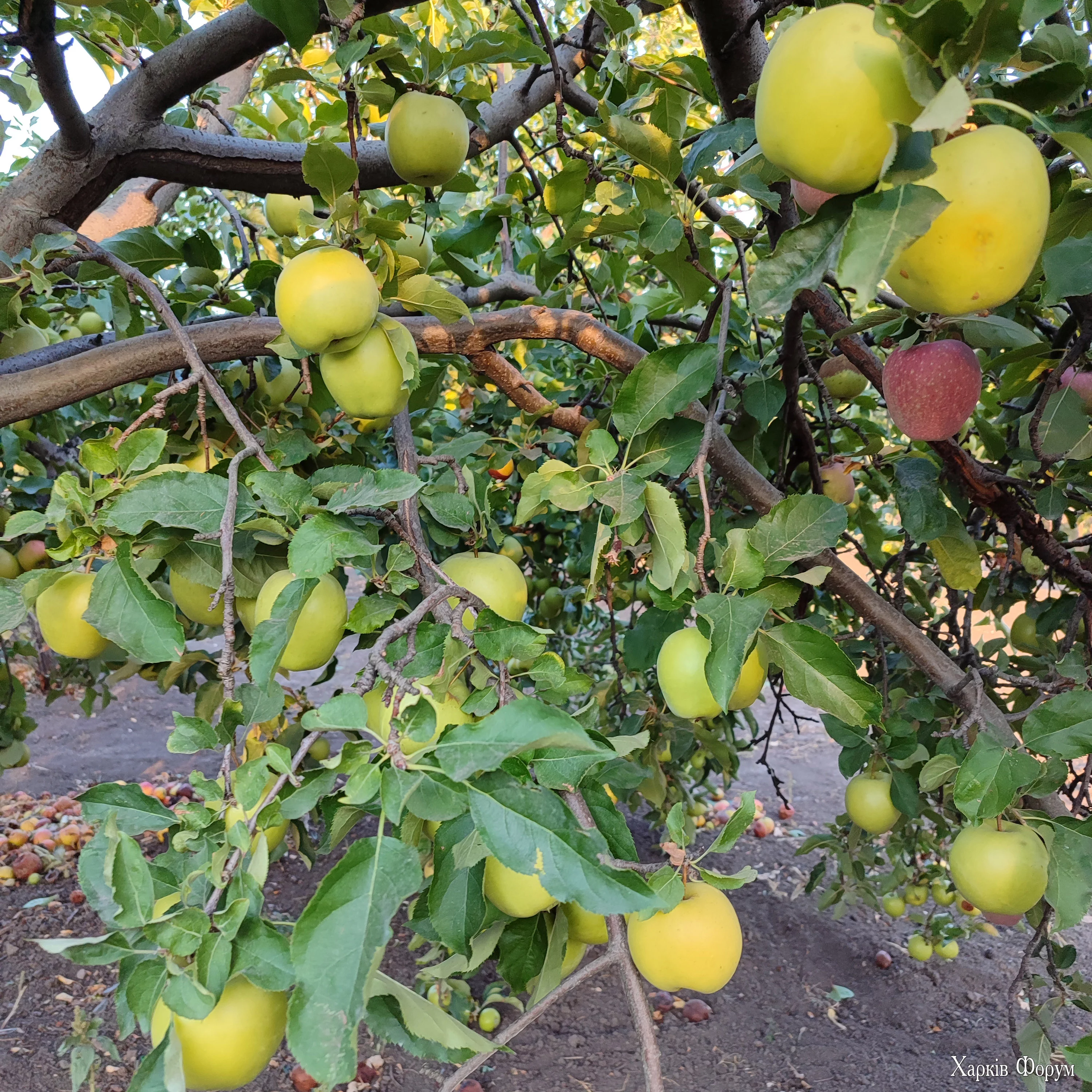 IMG_20240915_171427.webp
