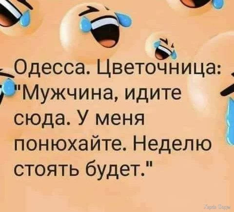 IMG_20241003_135949_931.webp