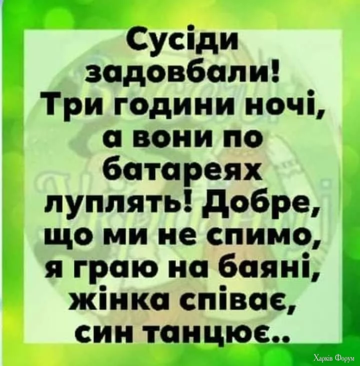 IMG_20241017_200849_803.webp