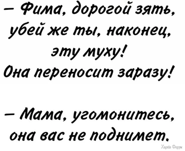 IMG_20241018_074734_398.webp