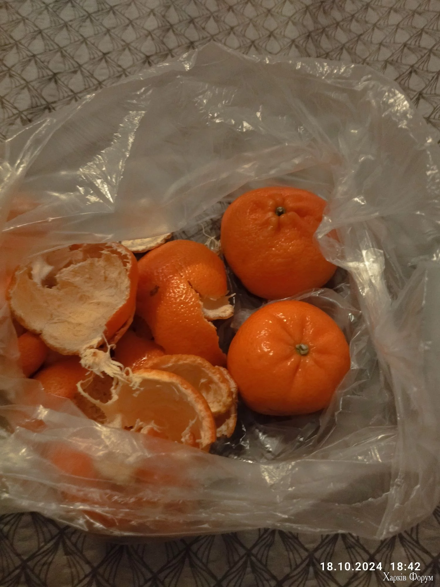 IMG_20241018_184246_compress30.webp