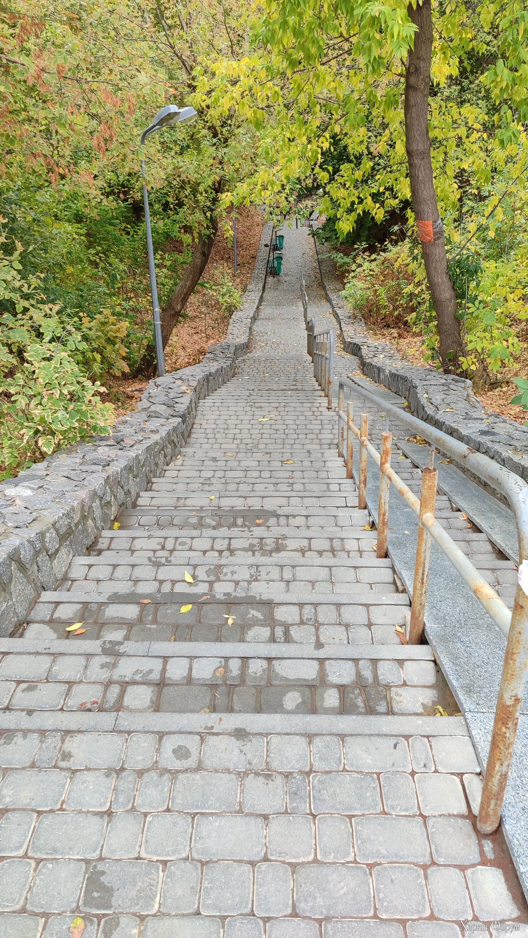 IMG_20241019_124905.webp