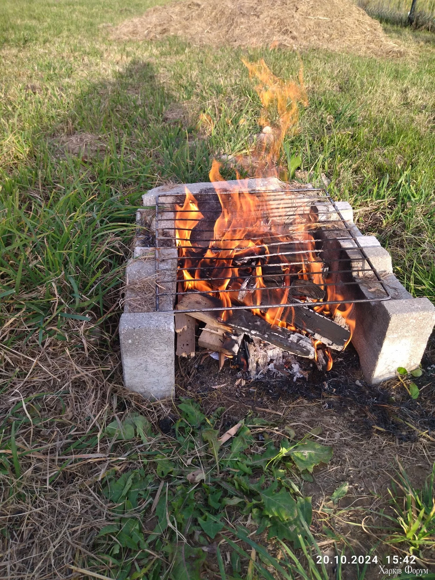 IMG_20241020_154226_compress51.webp