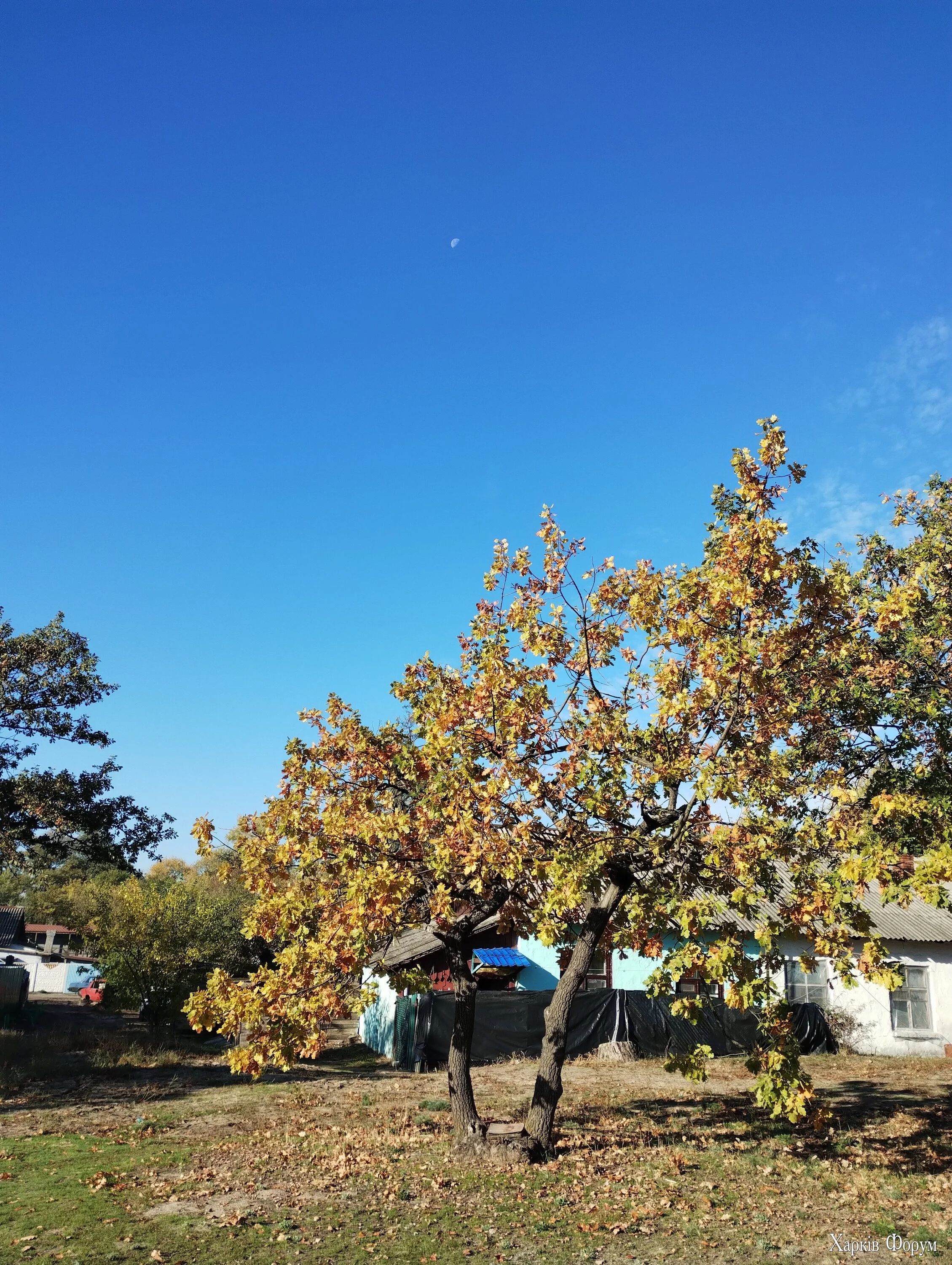 IMG_20241023_095633032.webp