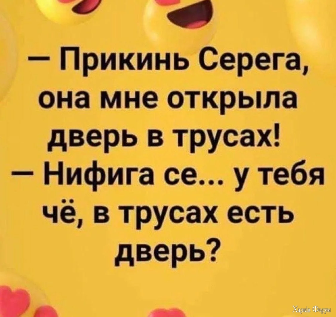 IMG_20241029_061553_431.webp