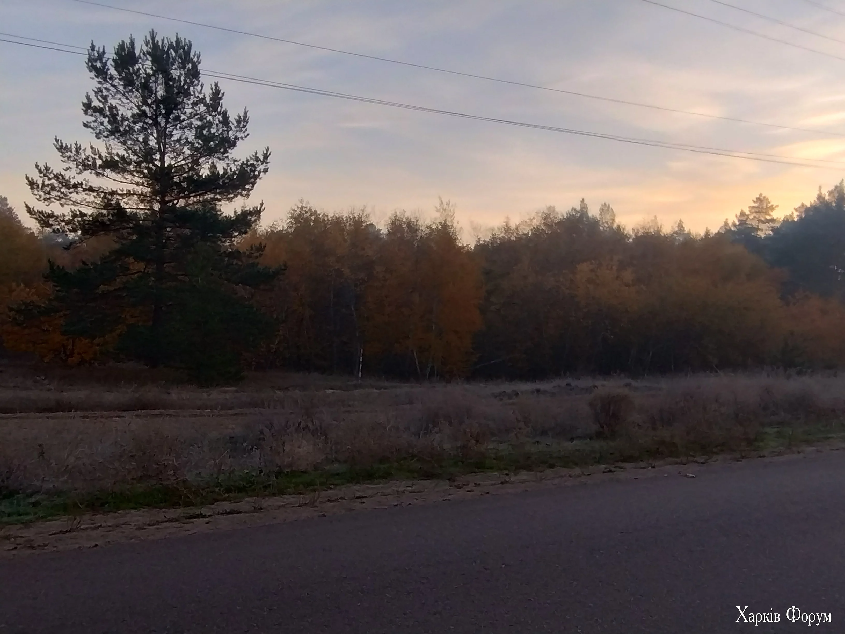 IMG_20241030_063358595_HDR.webp