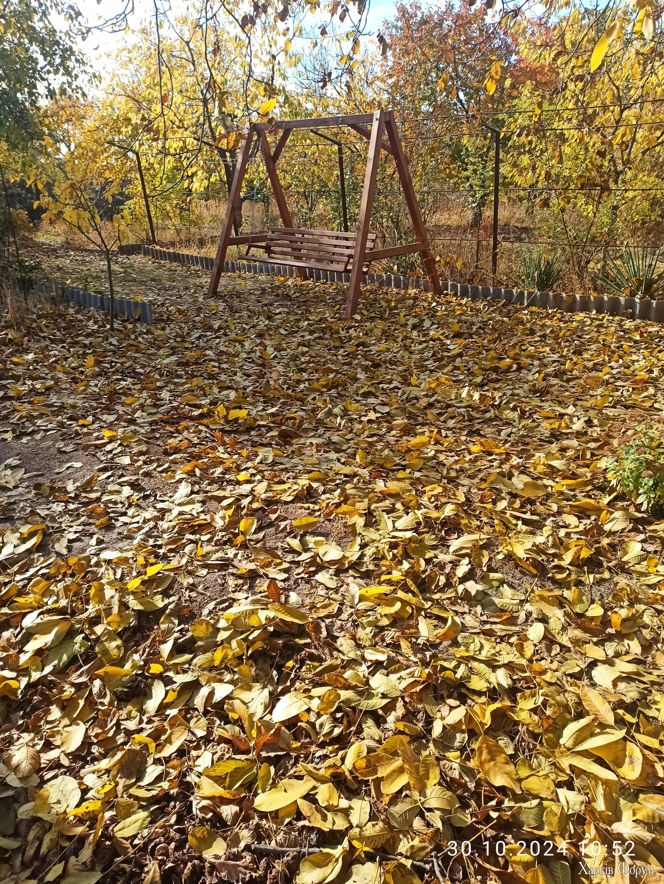 IMG_20241030_105246.jpg