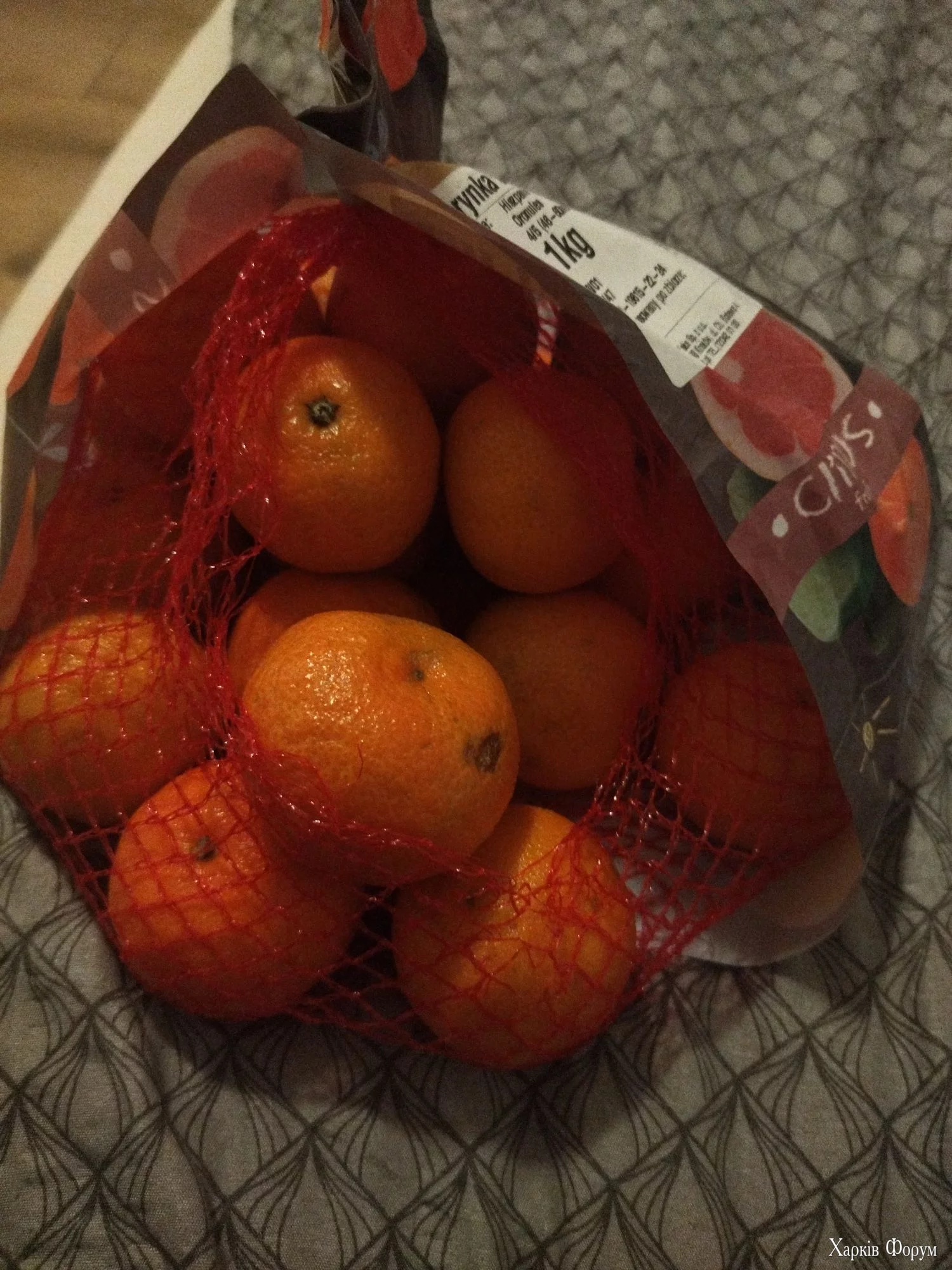 IMG_20241112_180030_BURST1_compress25.webp