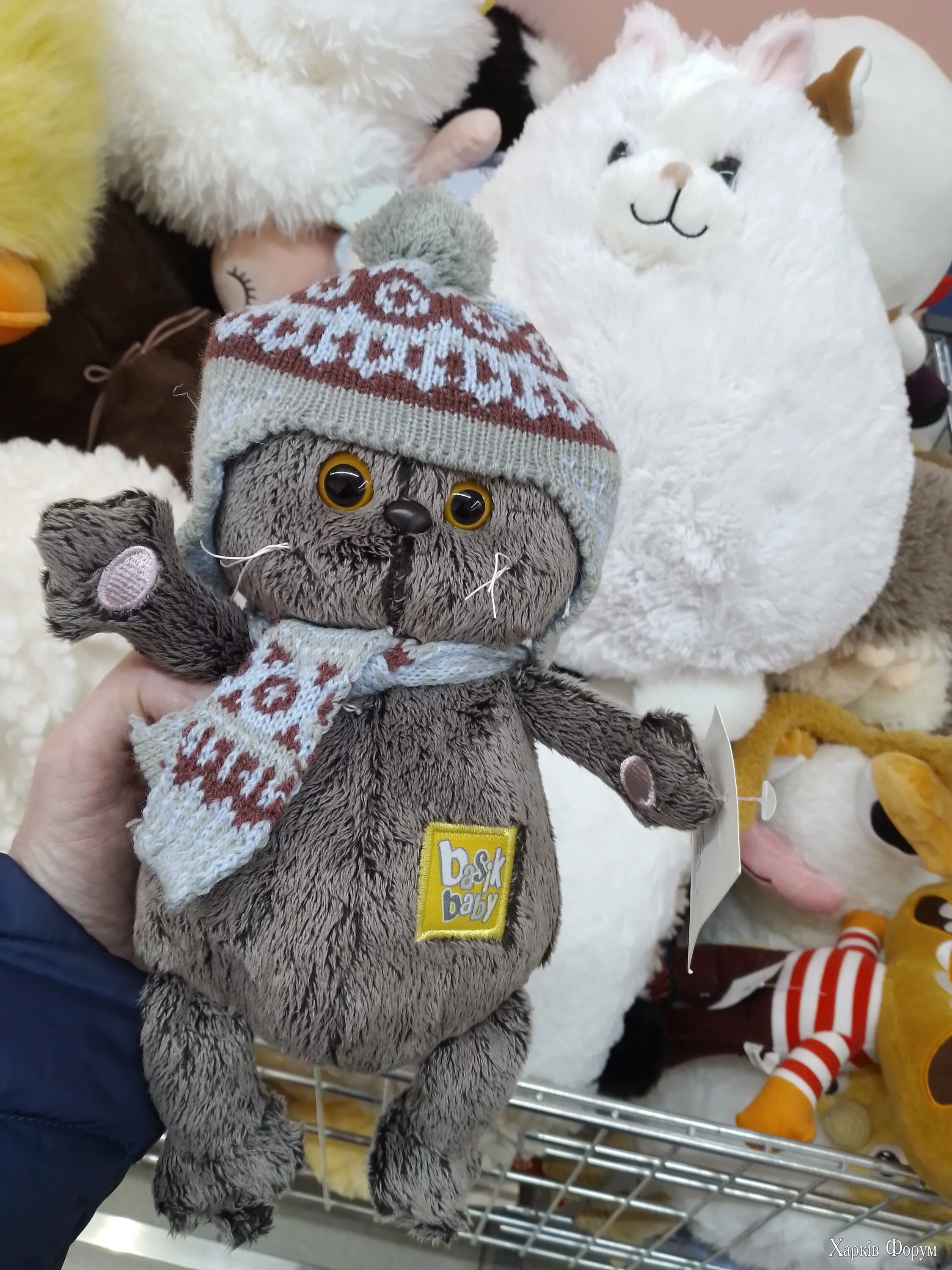 IMG_20241204_154434.webp