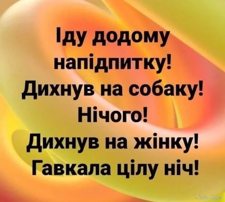 IMG_20241207_120830_153.webp