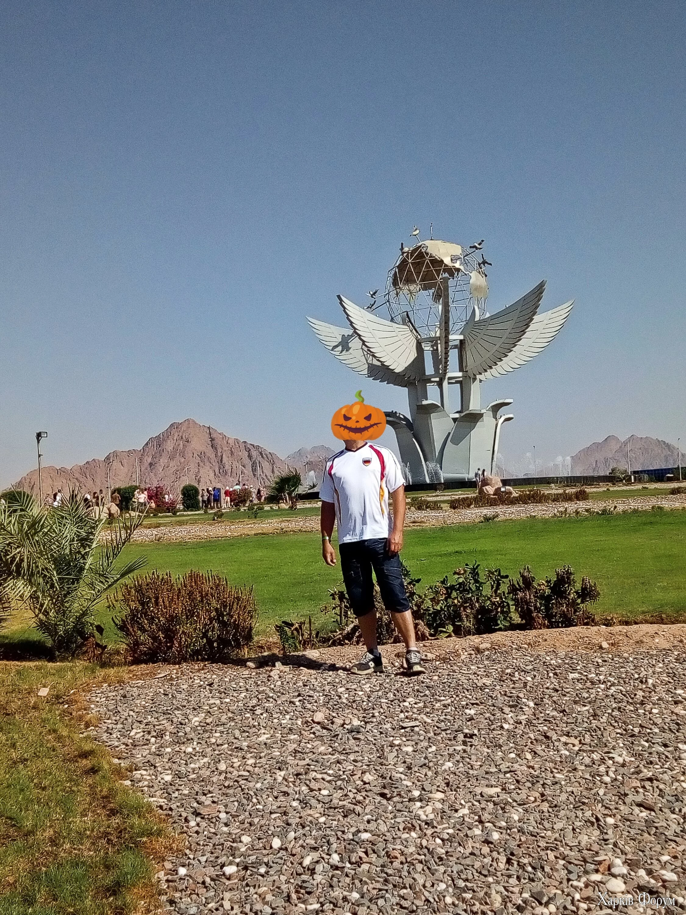 IMG_20241210_142308.webp