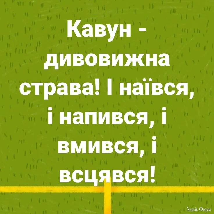 IMG_20241213_202949_825.webp