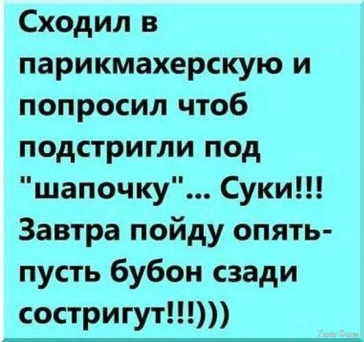 IMG_20241215_111012_600.webp