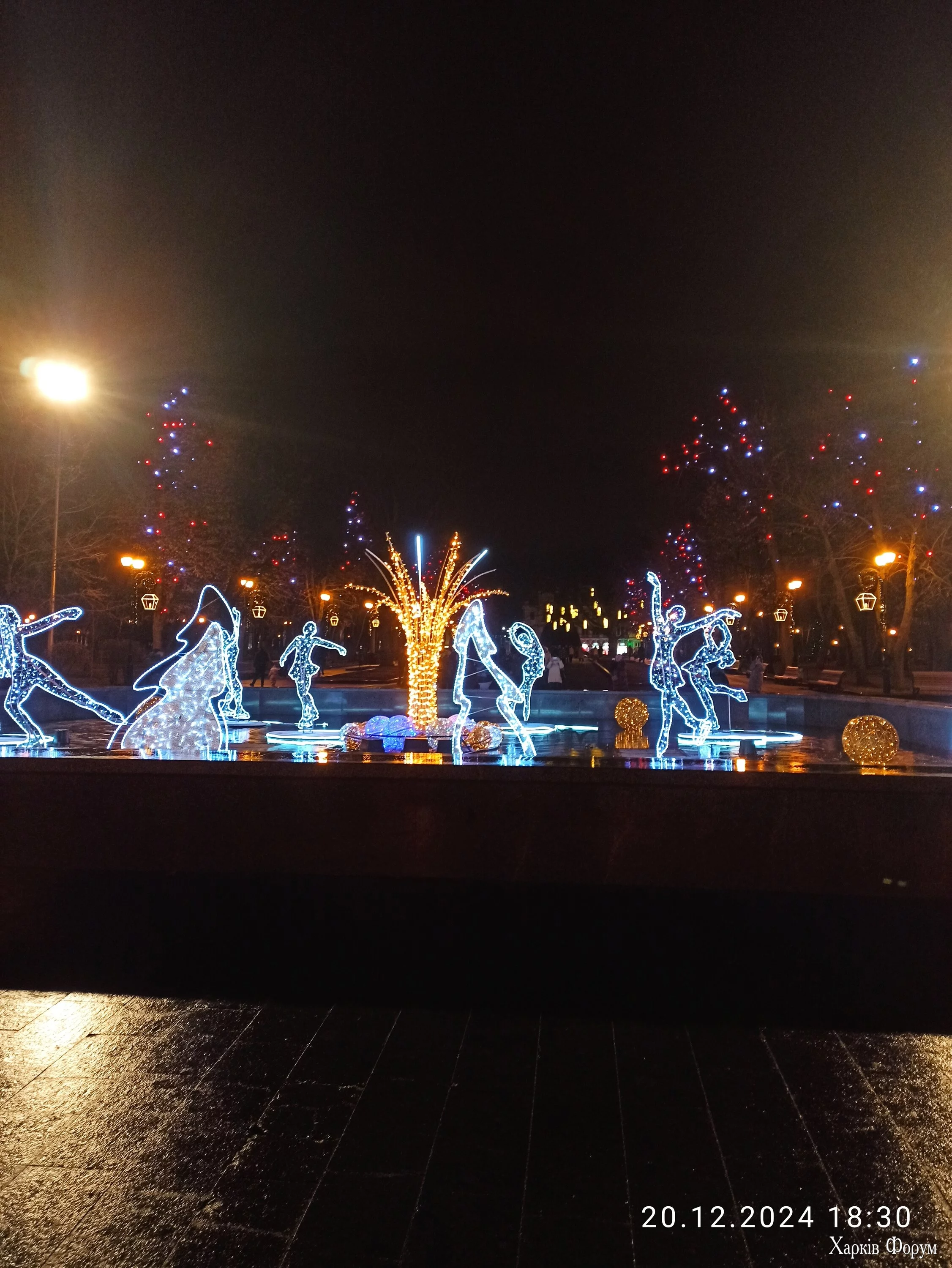 IMG_20241220_183039.webp