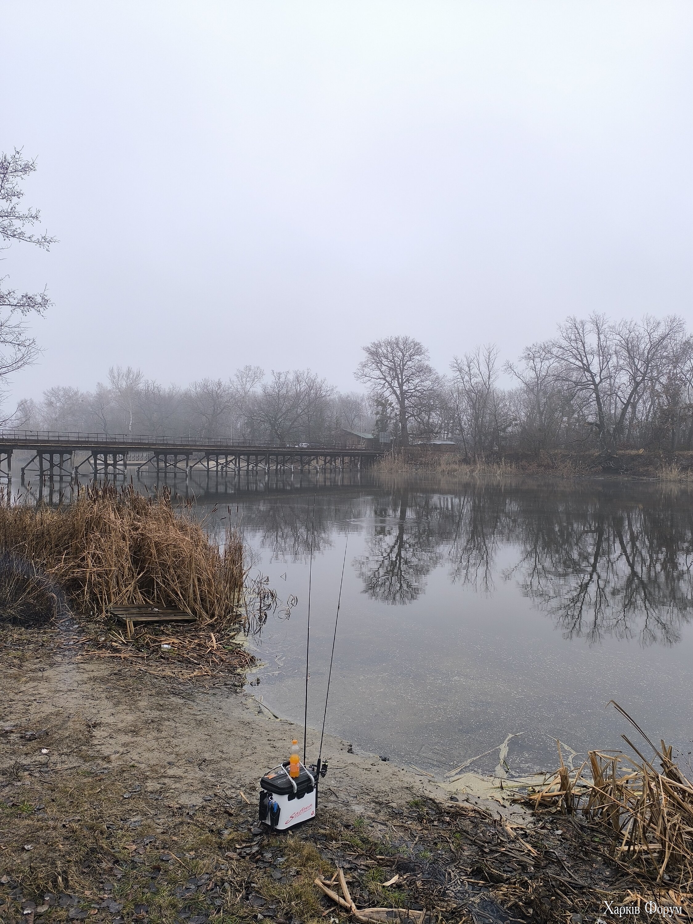 IMG_20241221_123456.jpg