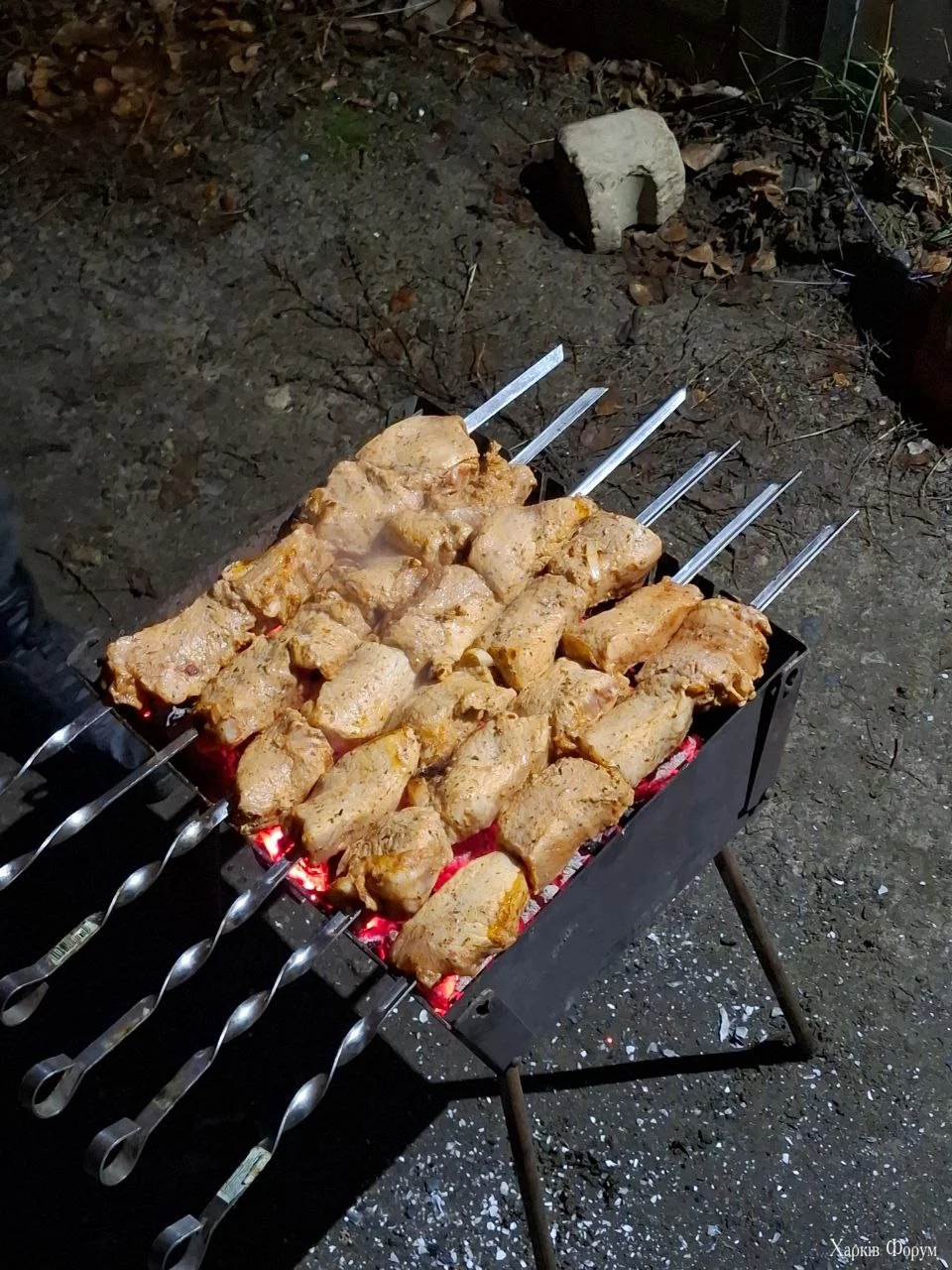 IMG_20241231_202724_529.webp