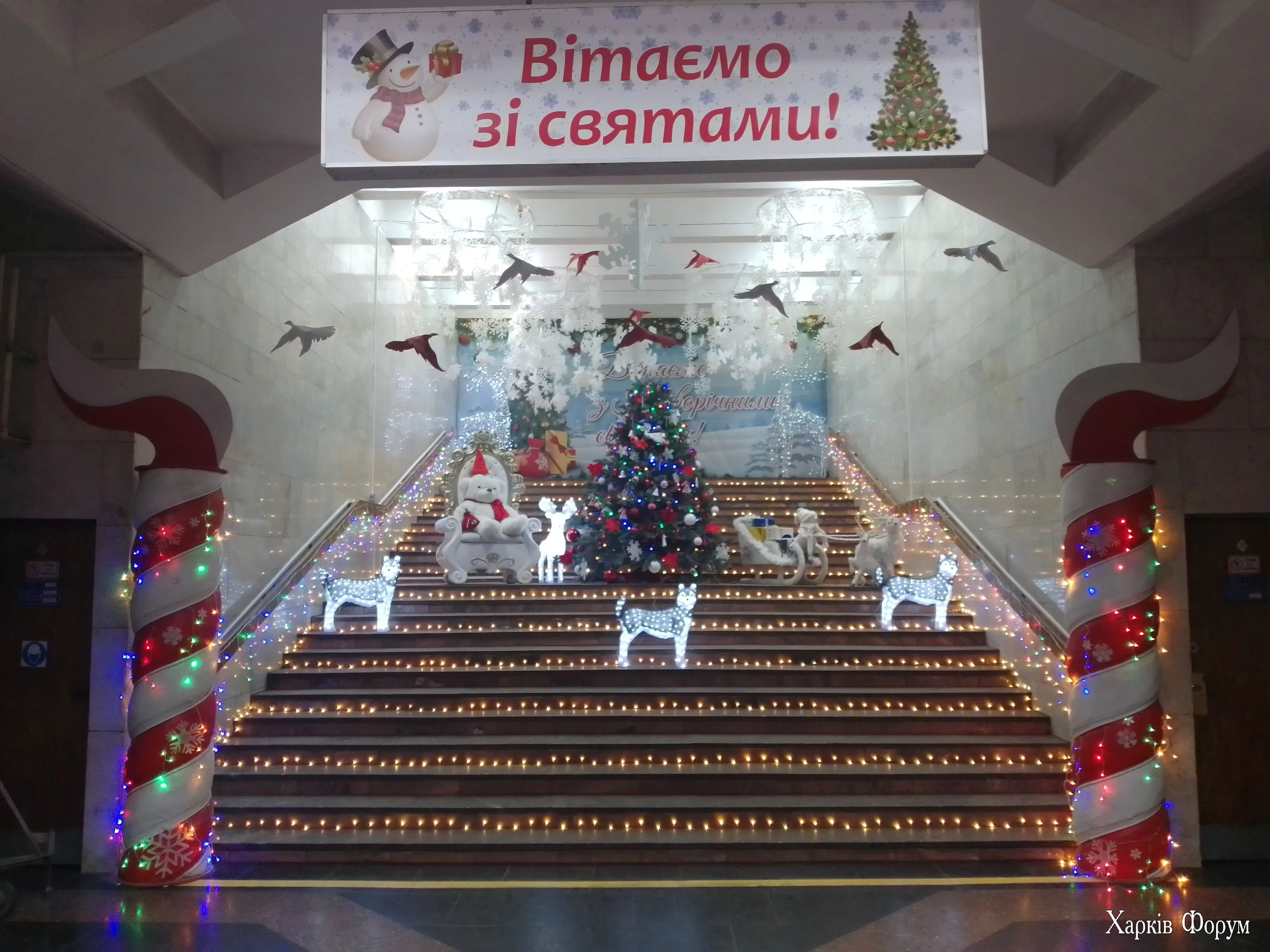 IMG_20250114_133023.webp