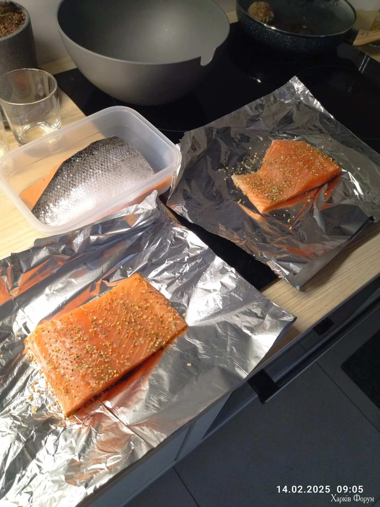 IMG_20250214_090539_compress32.webp