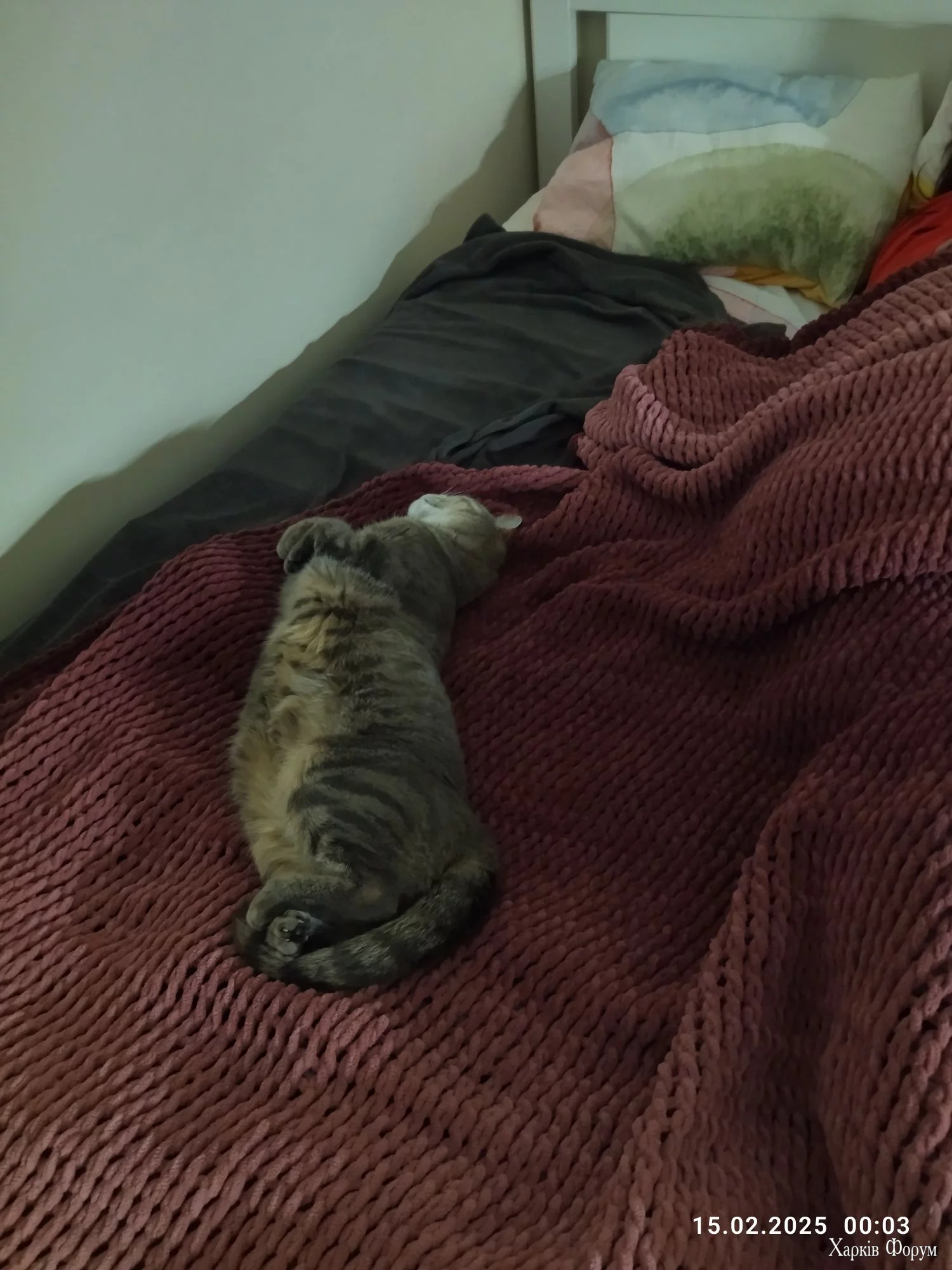 IMG_20250215_000318_compress30.webp