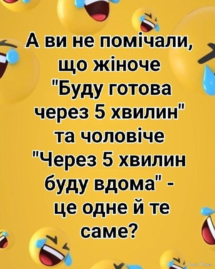 IMG_20250217_202657_303.webp