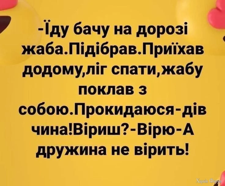 IMG_20250219_173314_235.webp