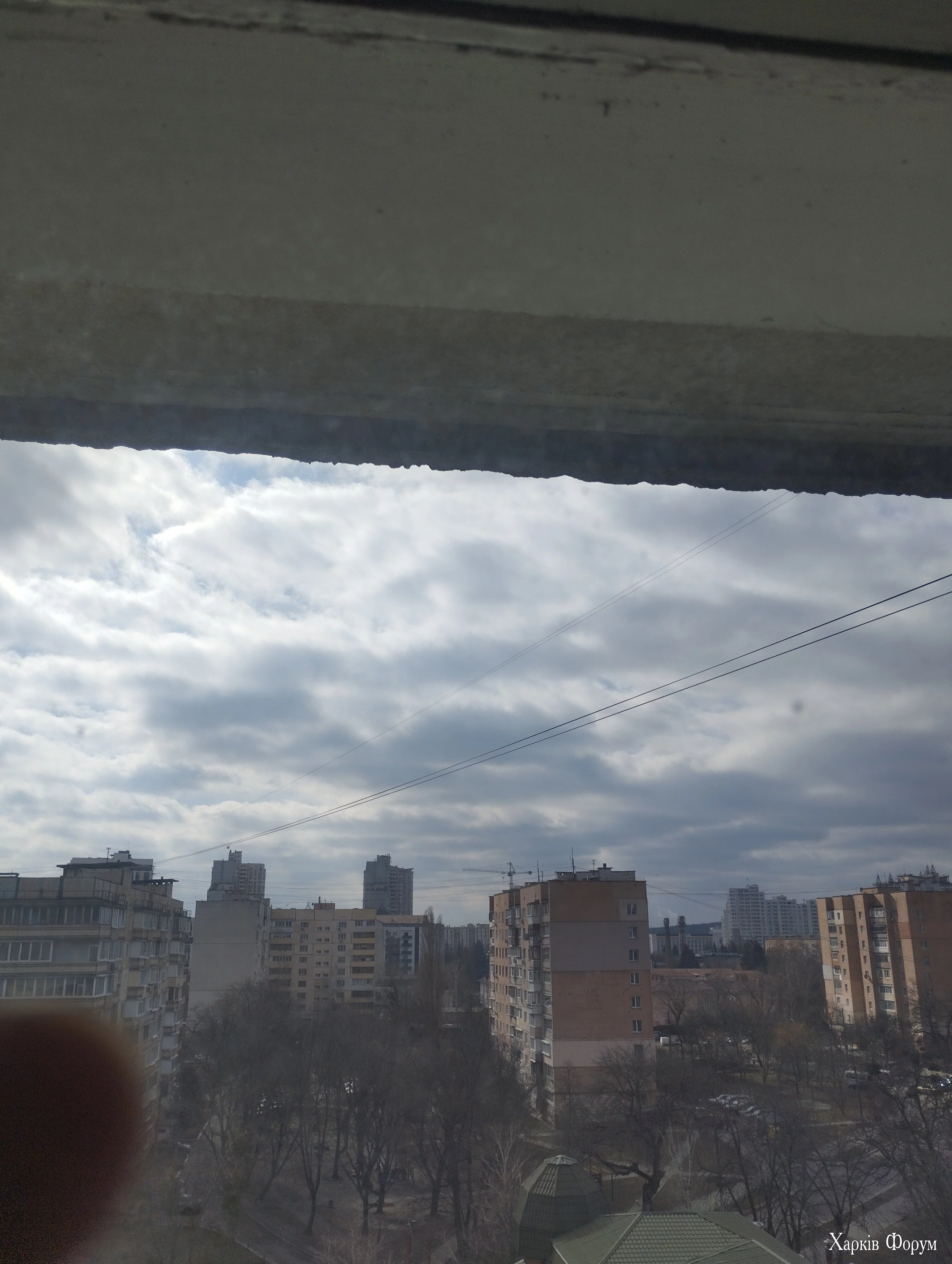 IMG_20250304_122801.webp