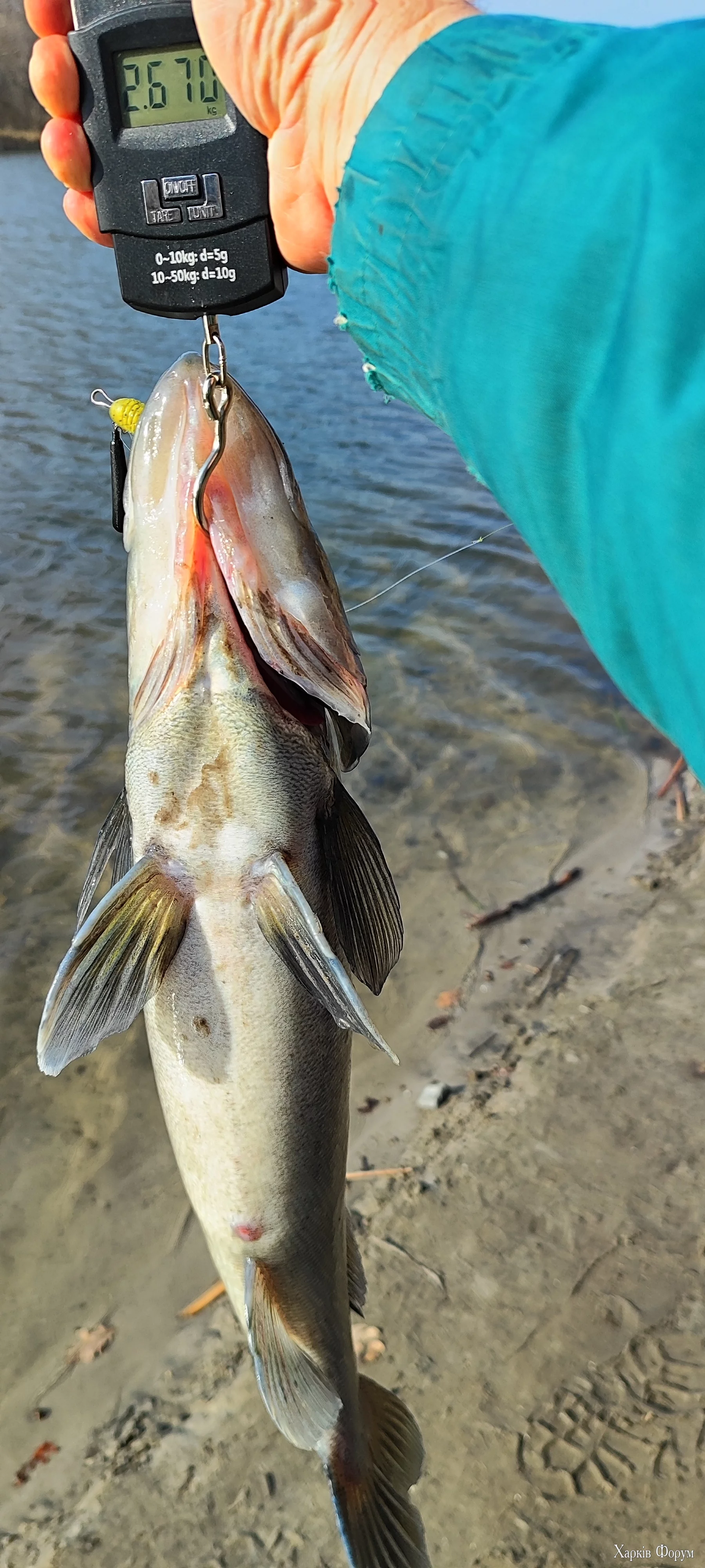 IMG_20250311_141601.webp