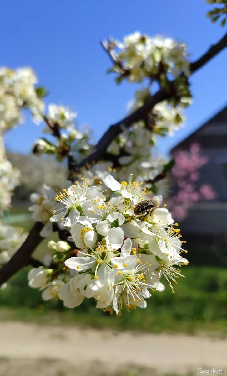 IMG_20250420_114205.webp