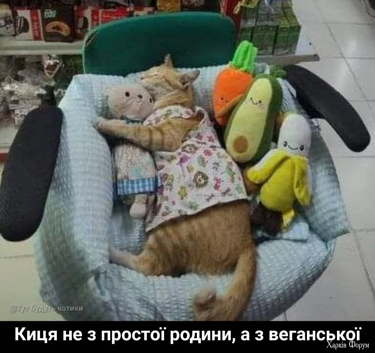 IMG_20250426_212011_232.webp