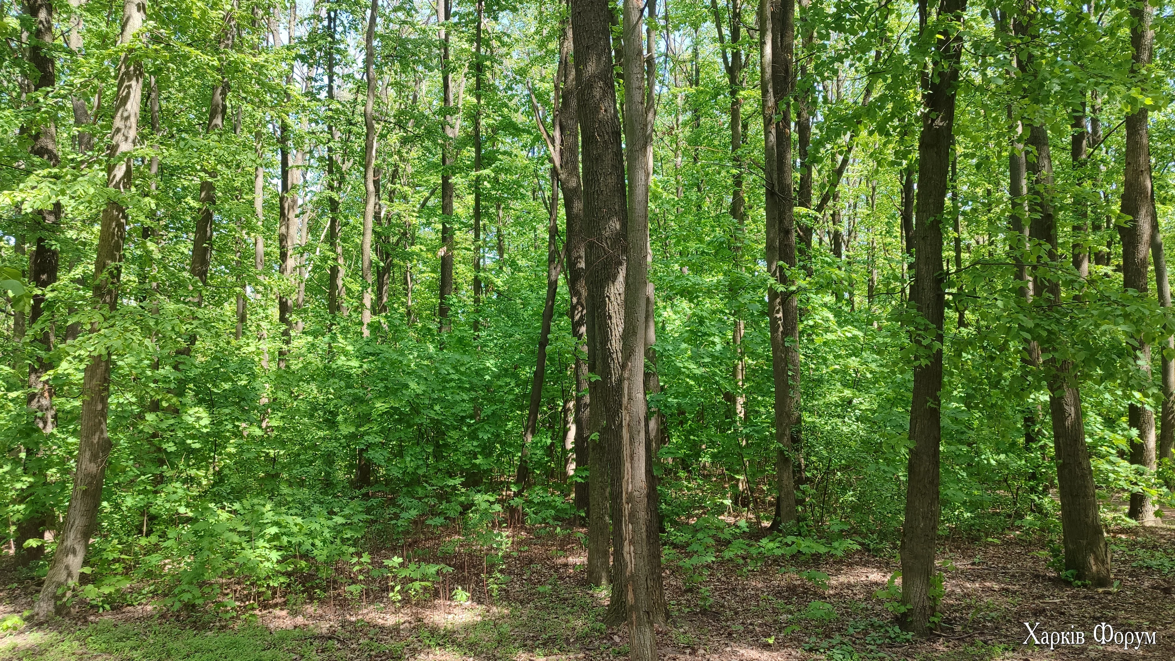 IMG_20250429_134357.webp