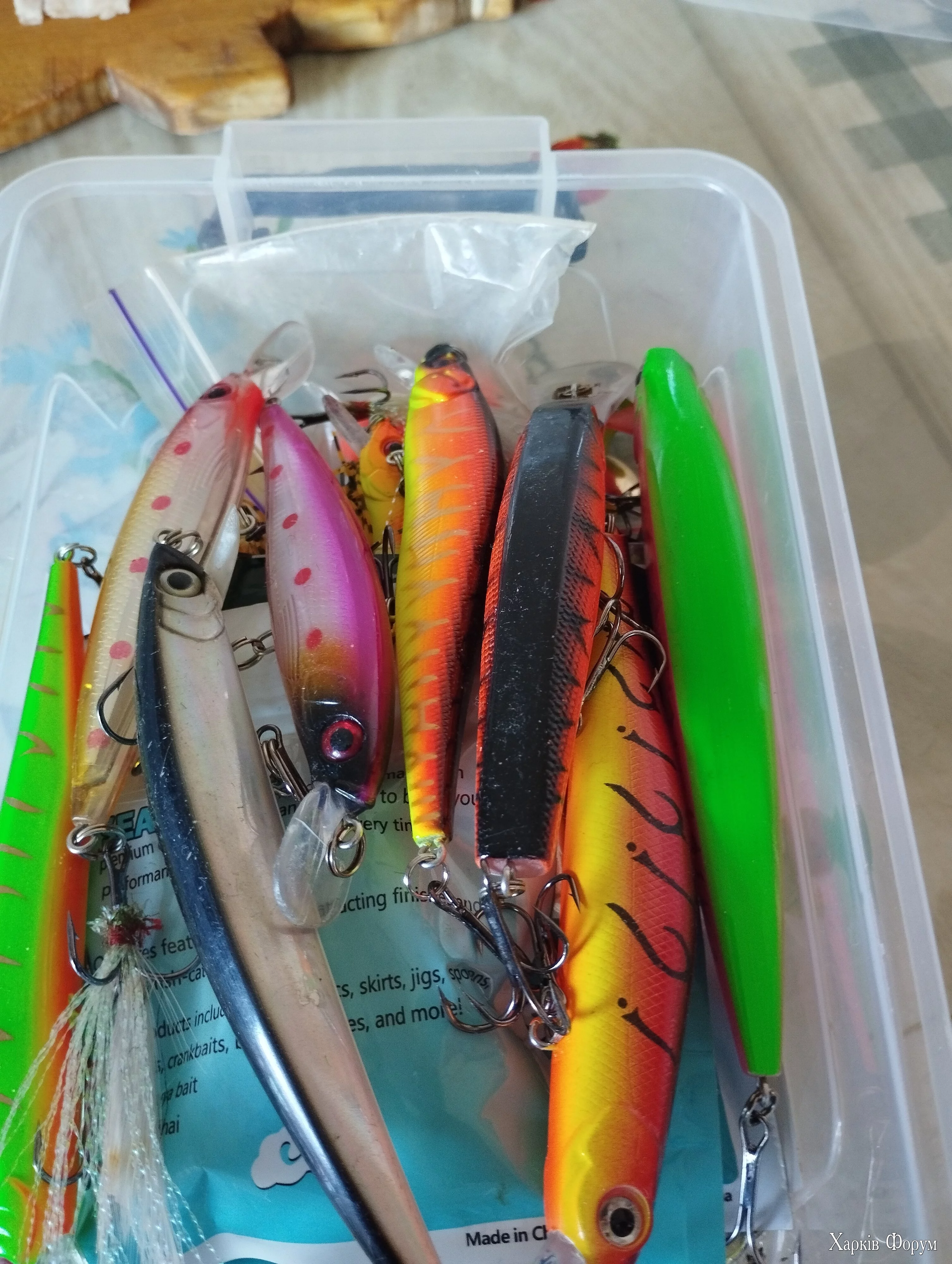 IMG_20250508_130820.webp