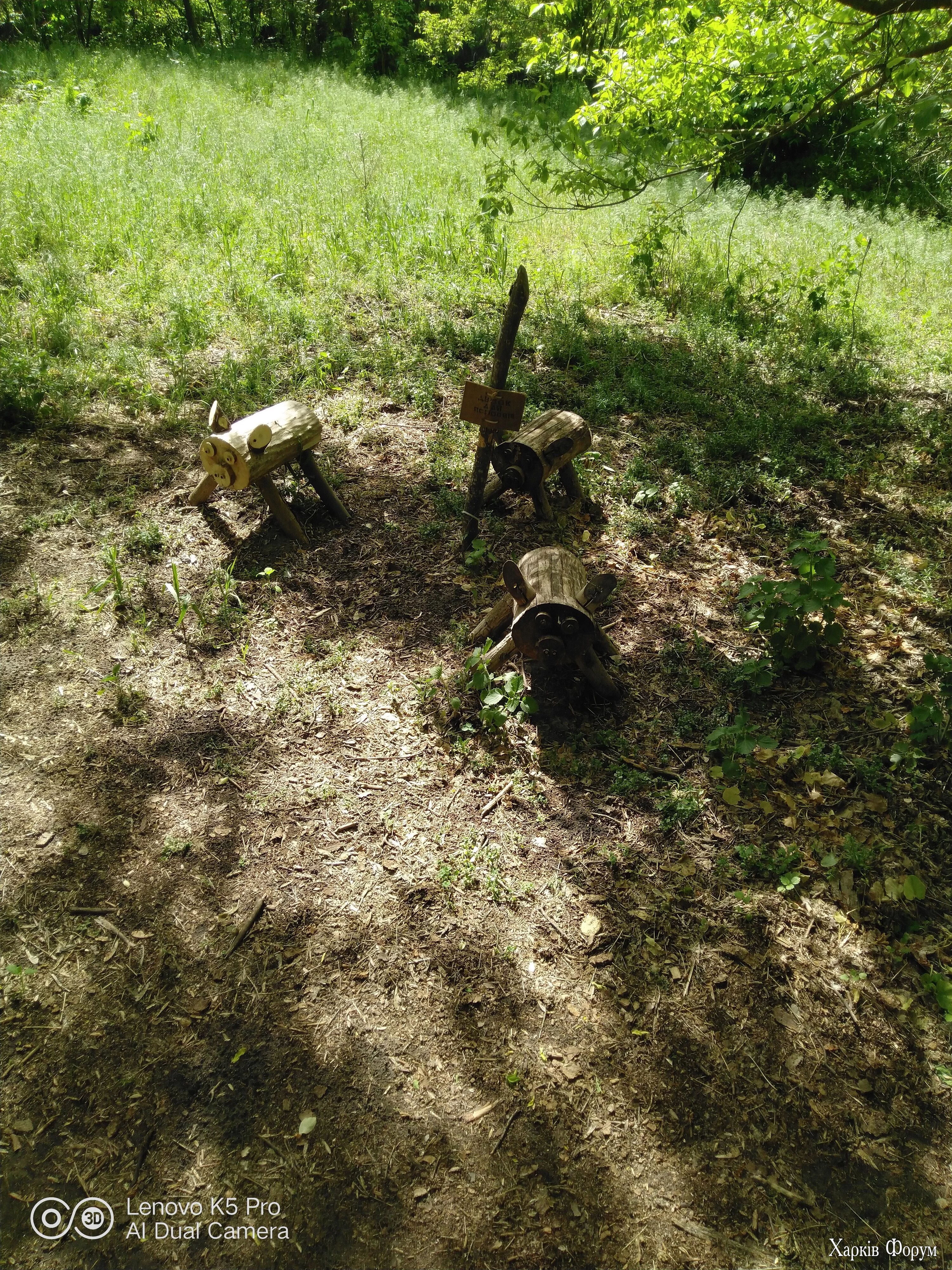 IMG_20250508_145004.webp