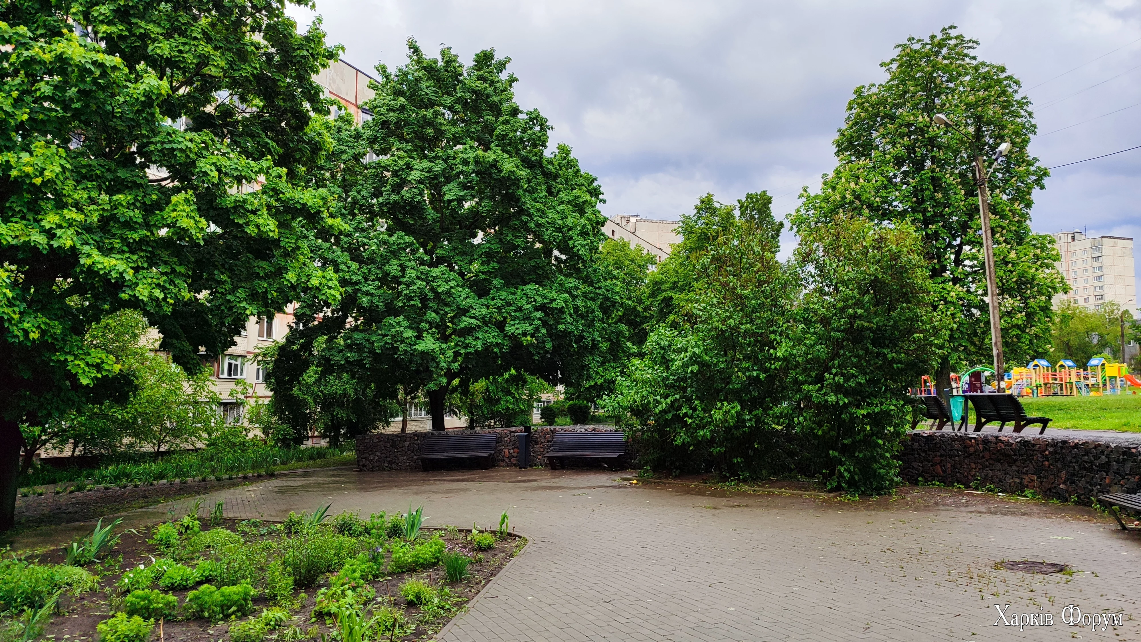 IMG_20250519_181812.webp