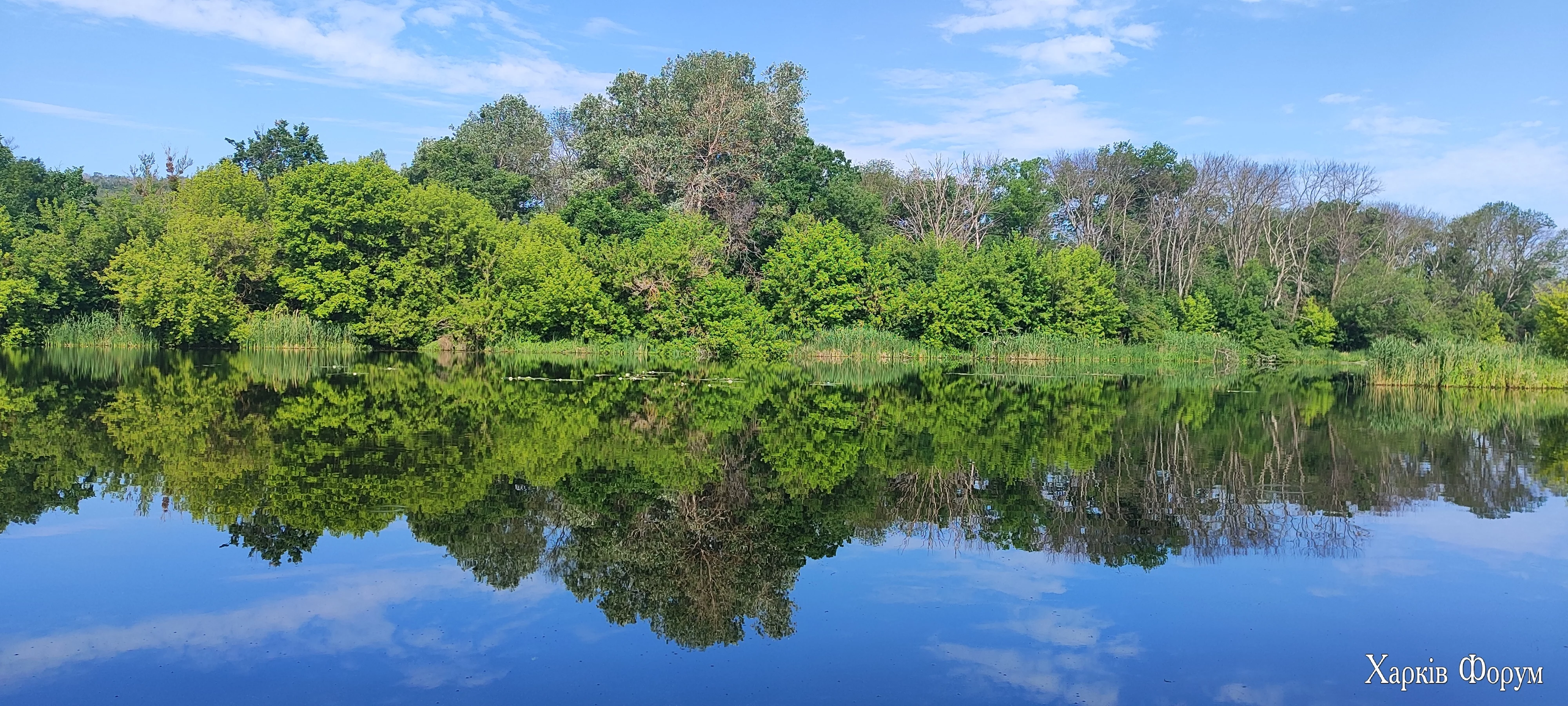 IMG_20250530_090048.webp