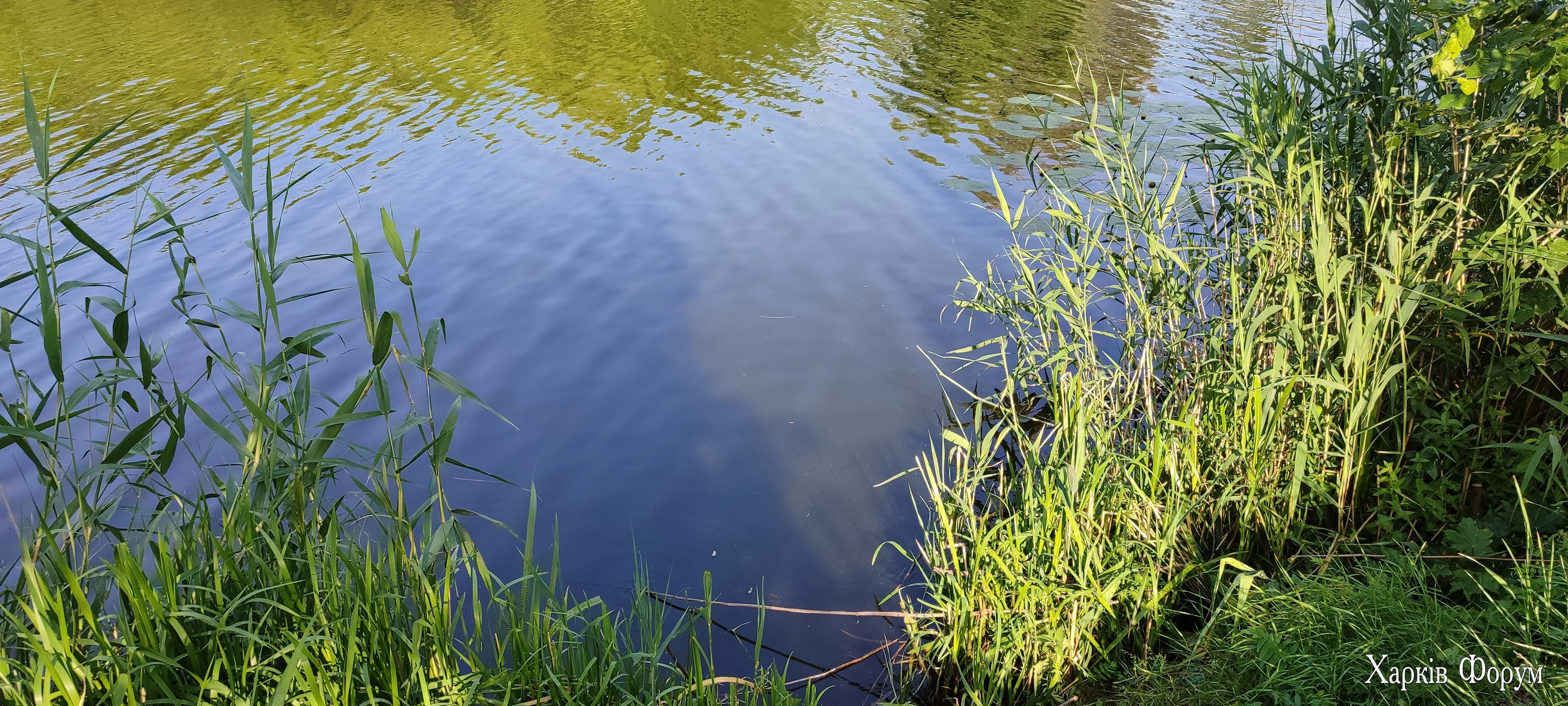 IMG_20250606_172157.jpg