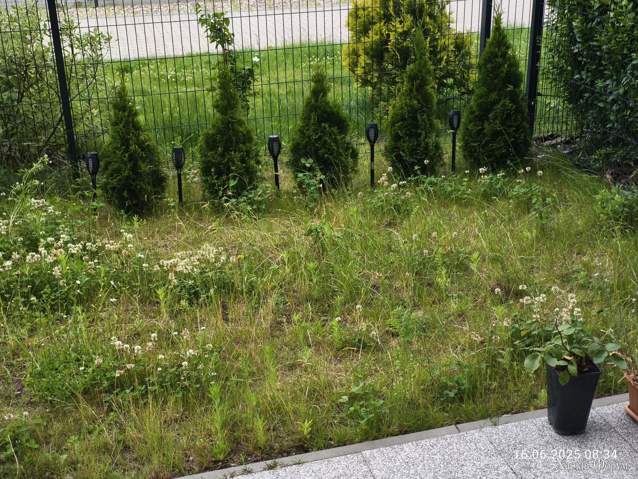 IMG_20250616_083401_compress4.webp