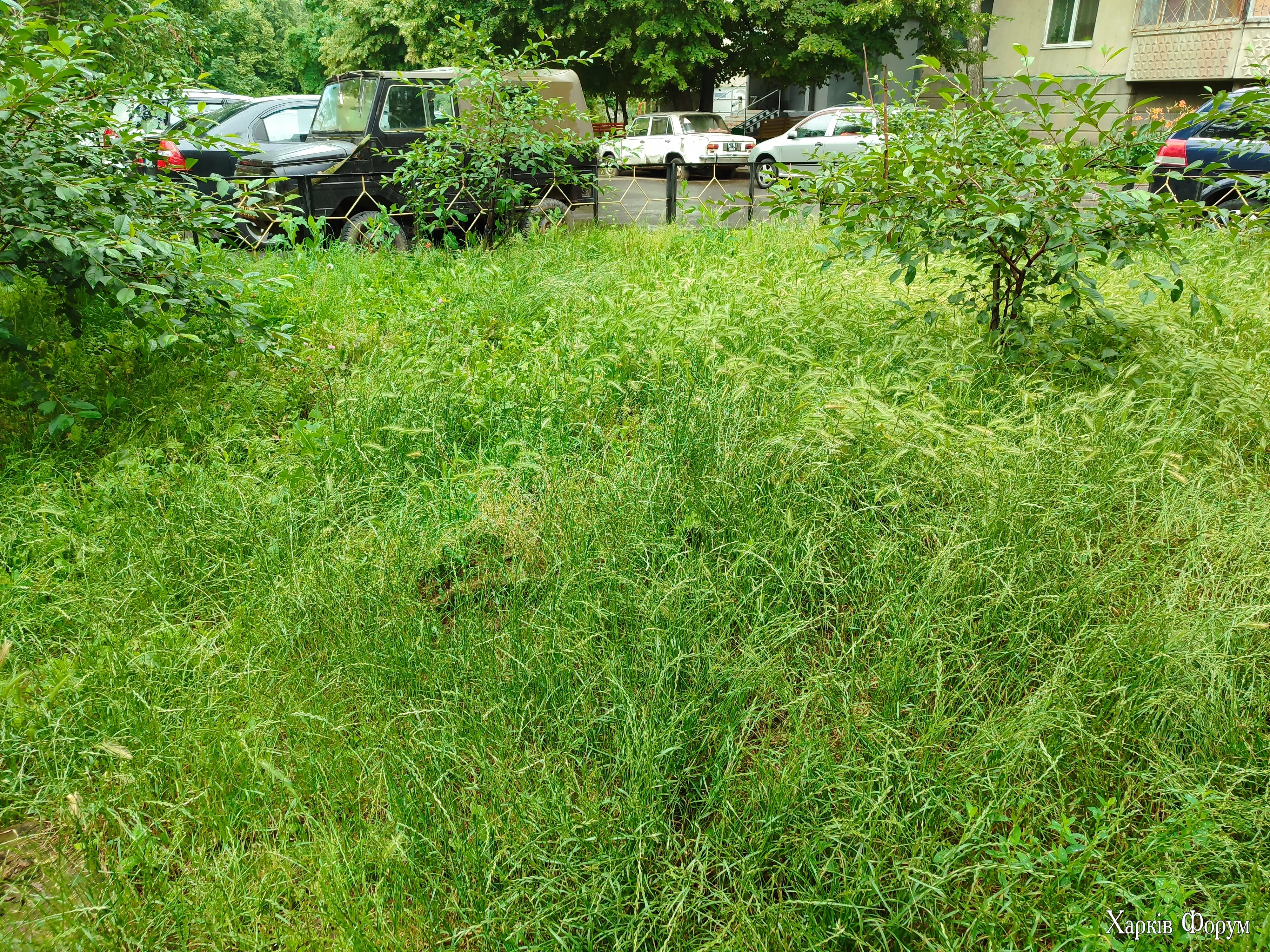 IMG_20250702_145256.webp