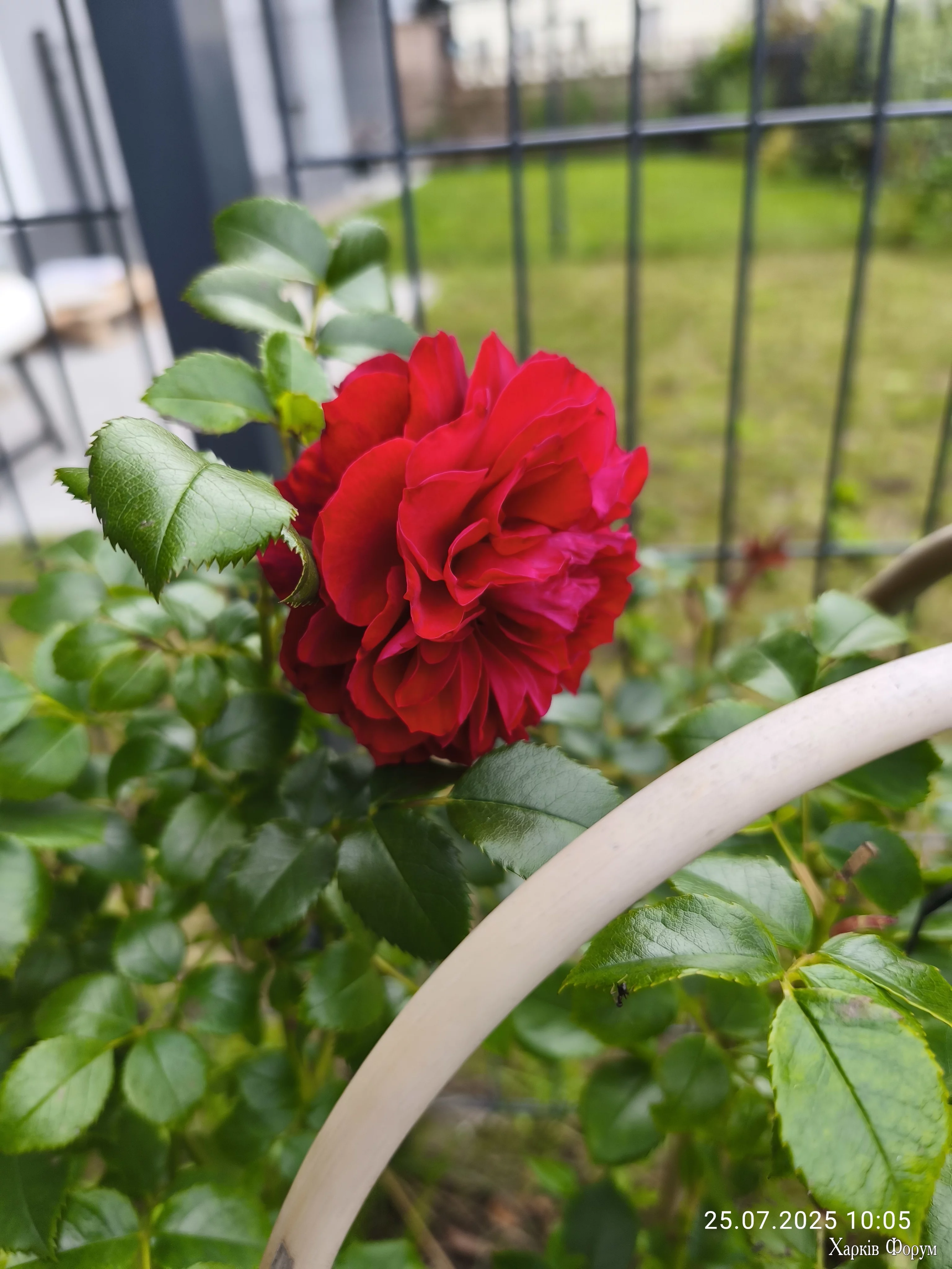 IMG_20250725_100535.webp