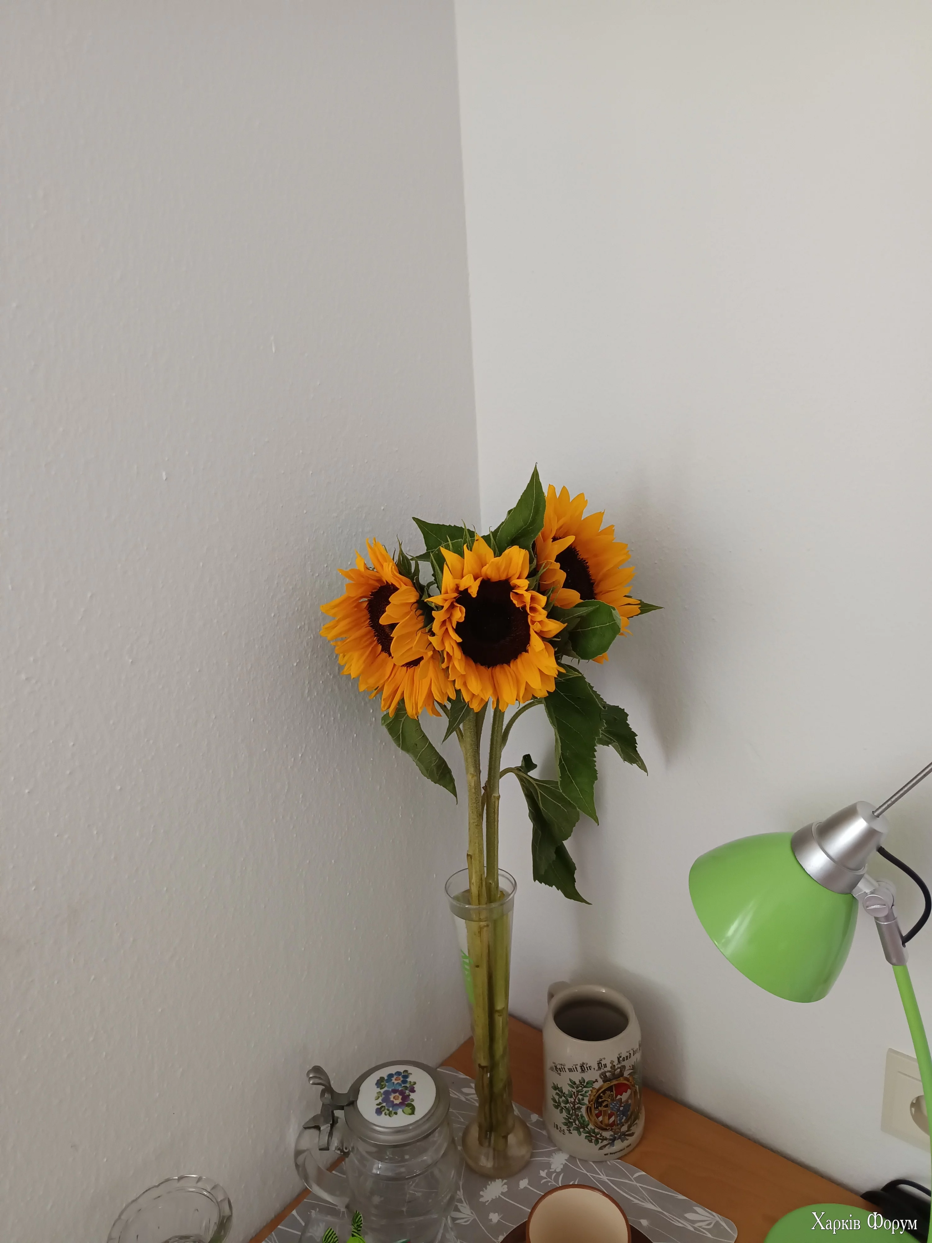 IMG_20250731_172852.webp