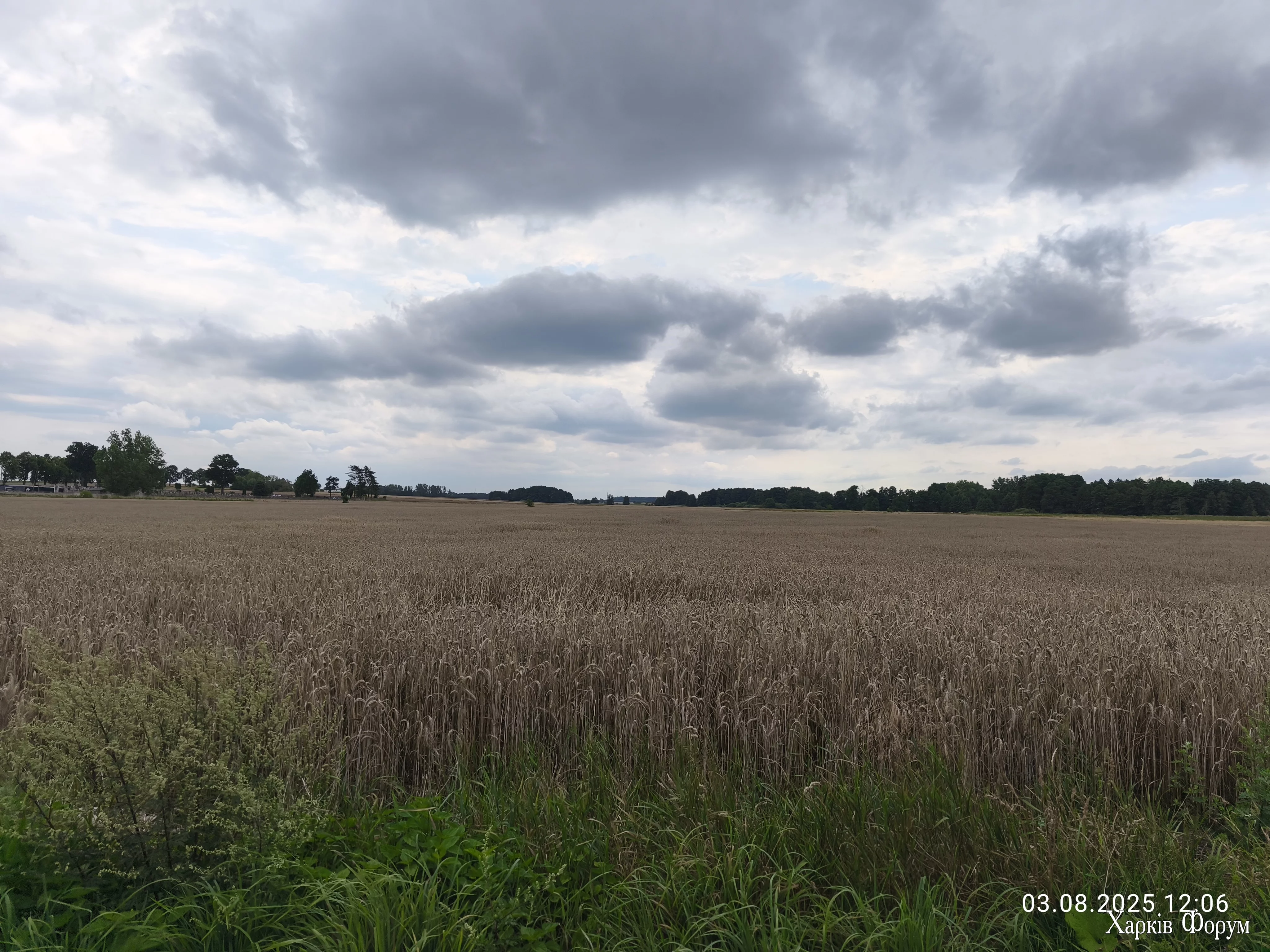 IMG_20250803_120623.webp