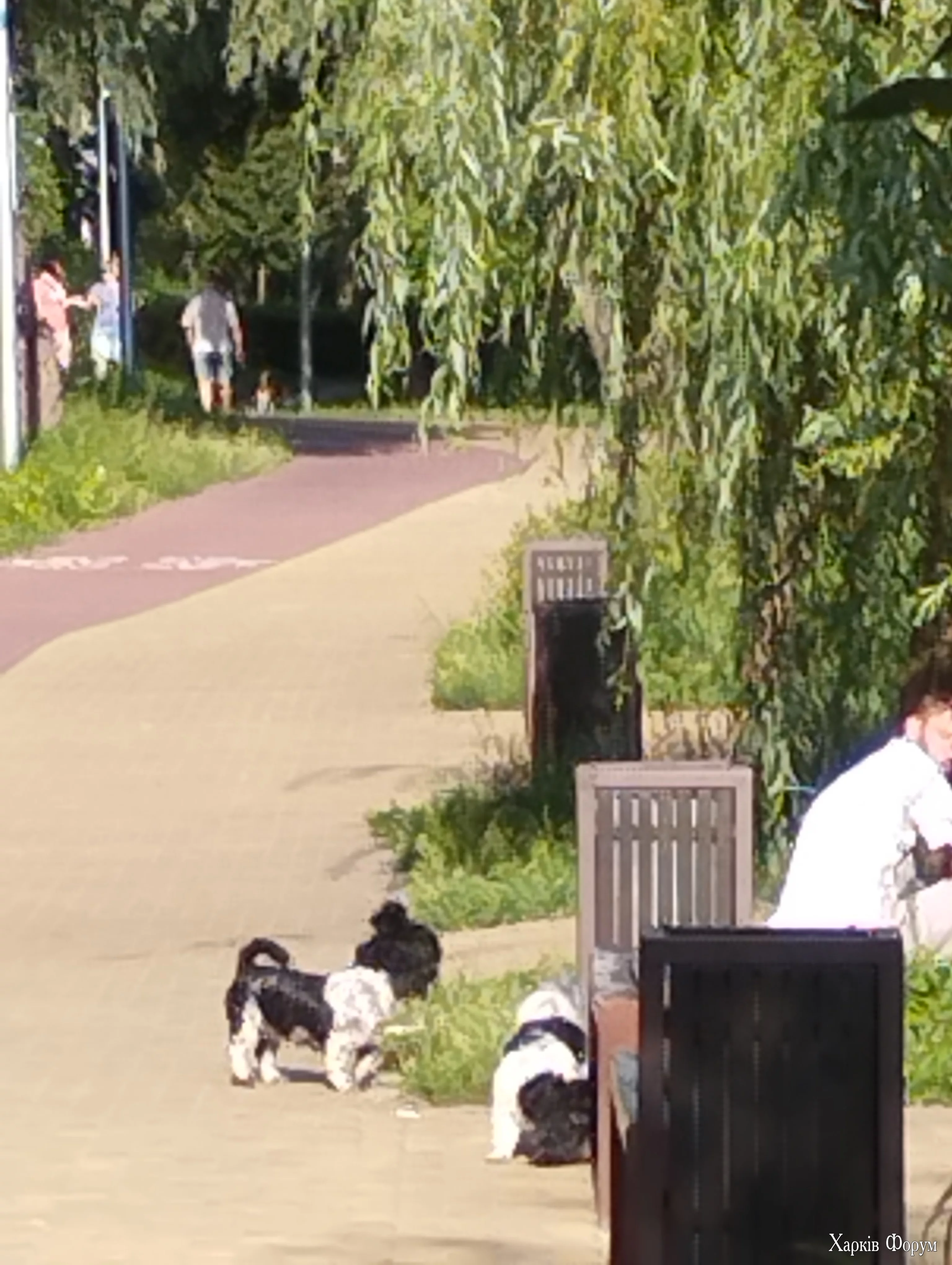 IMG_20250803_175538.webp