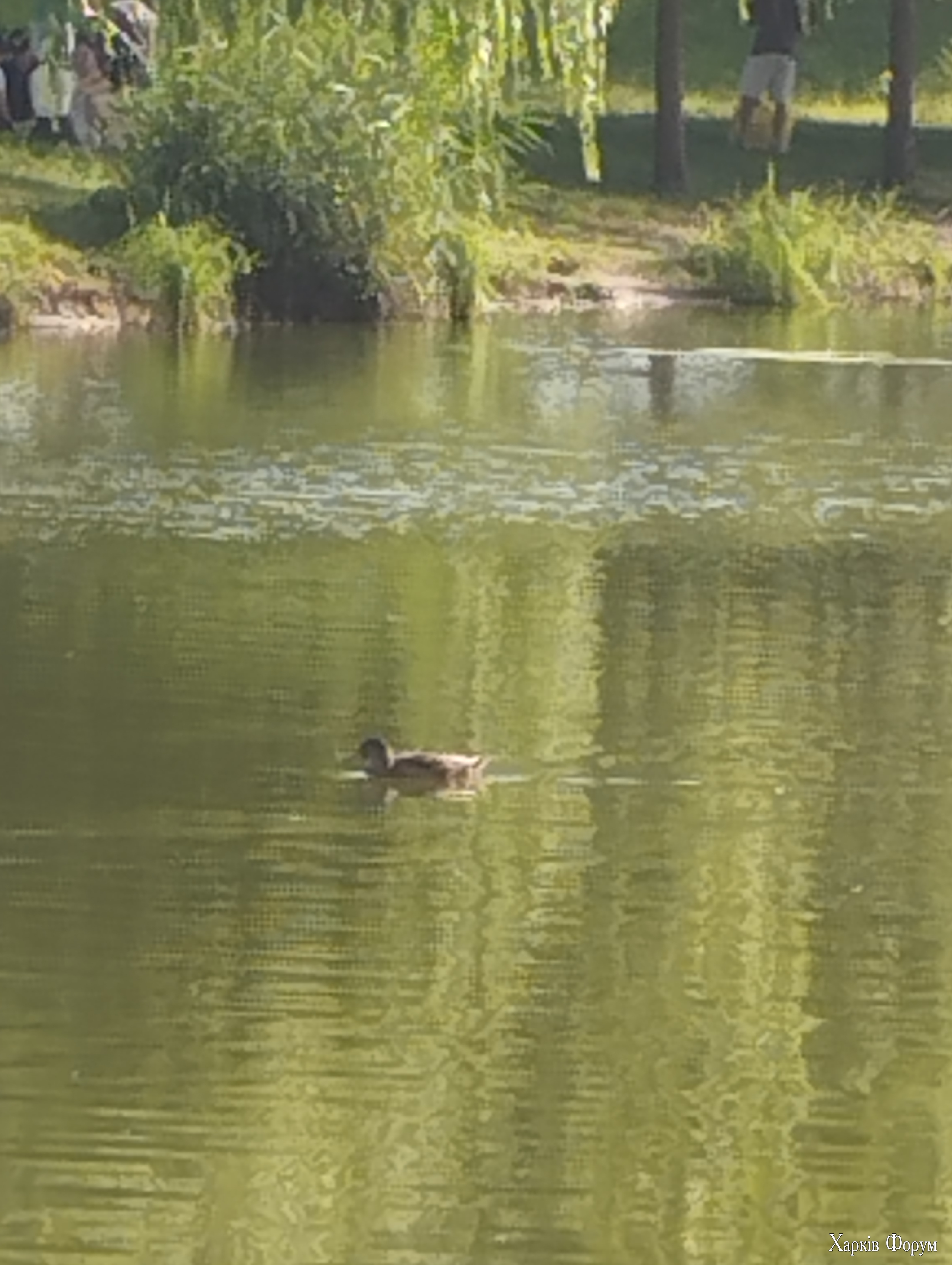 IMG_20250803_175554.jpg