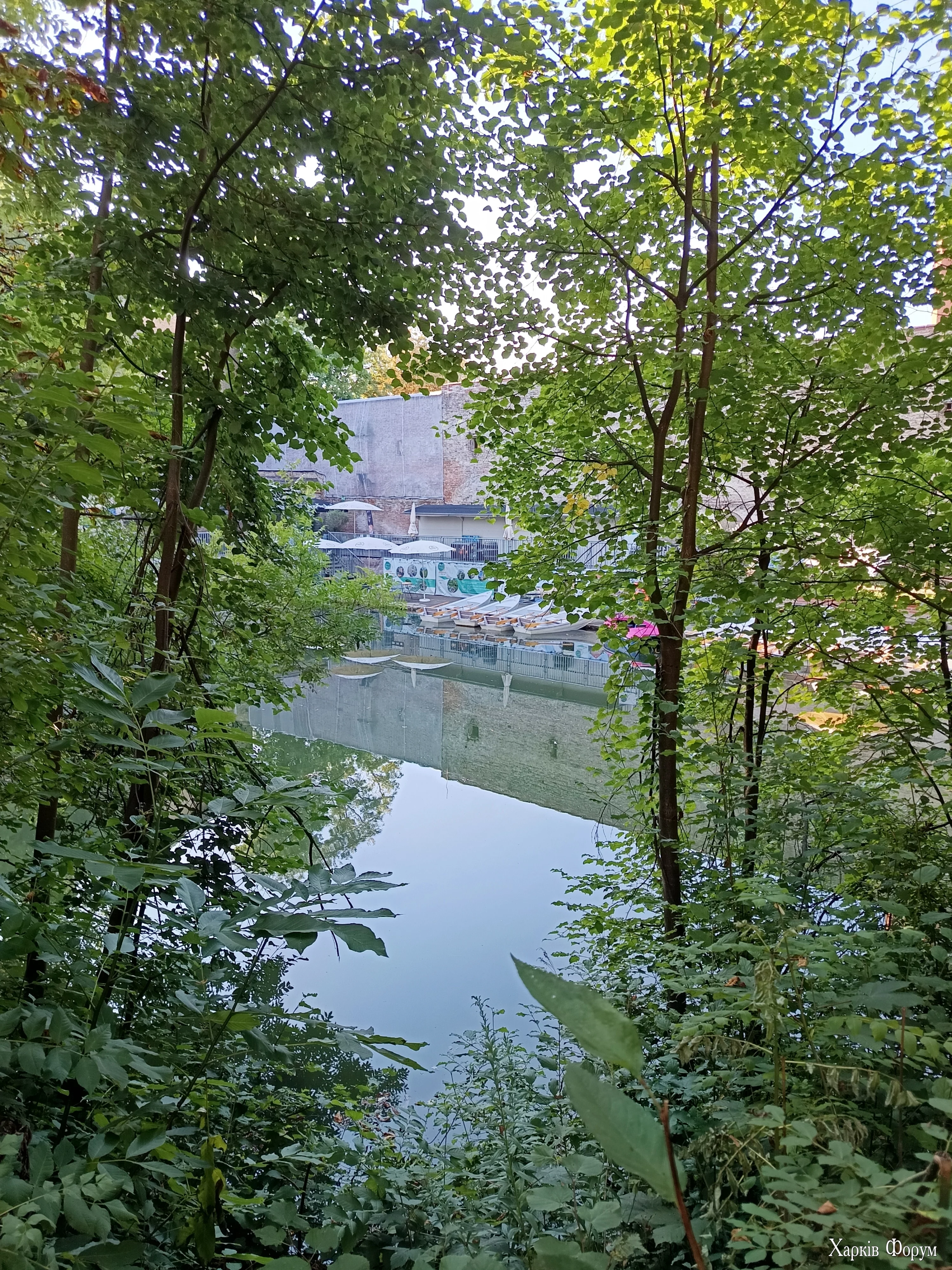 IMG_20250808_082454.webp