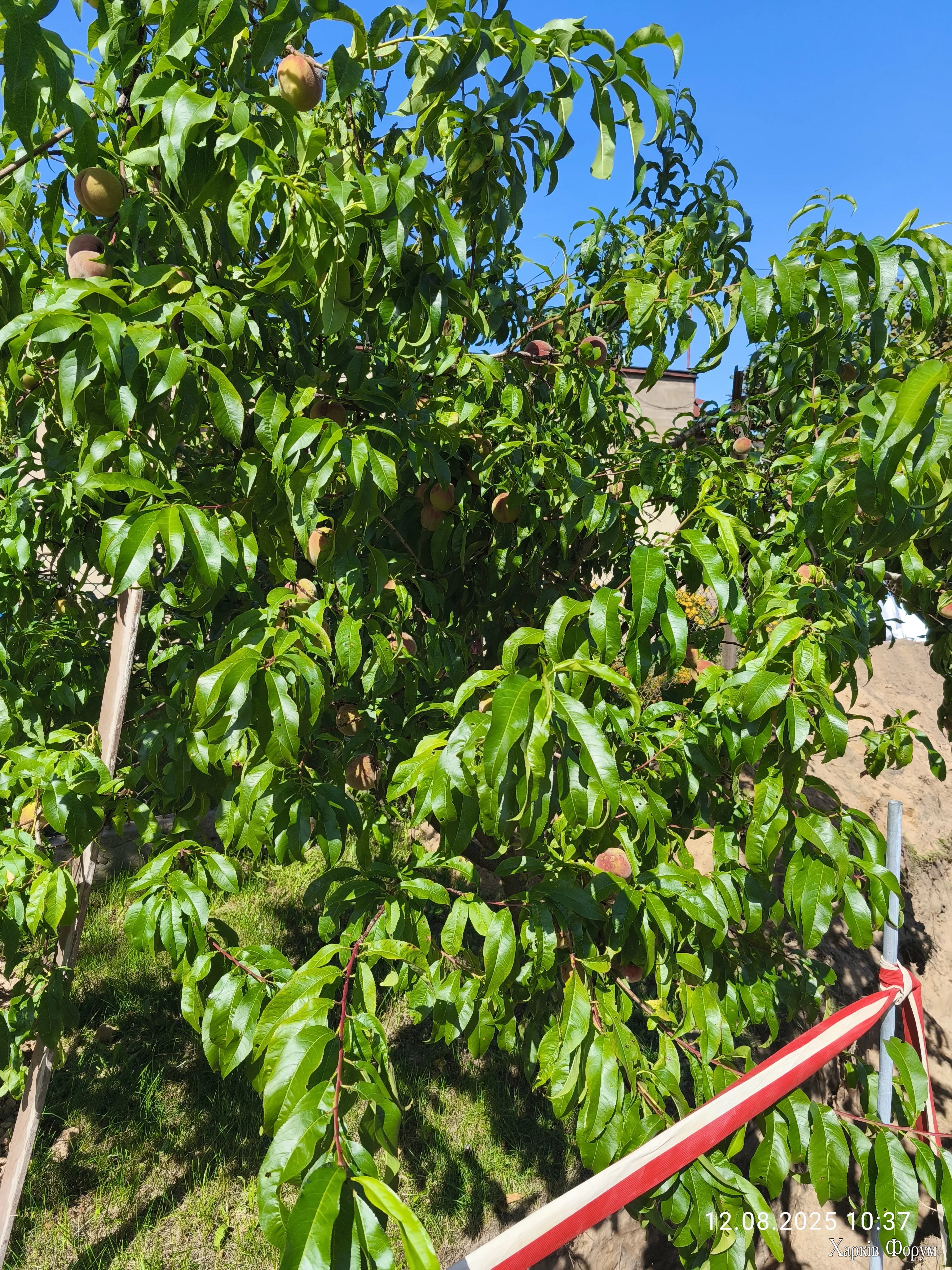 IMG_20250812_103756.webp
