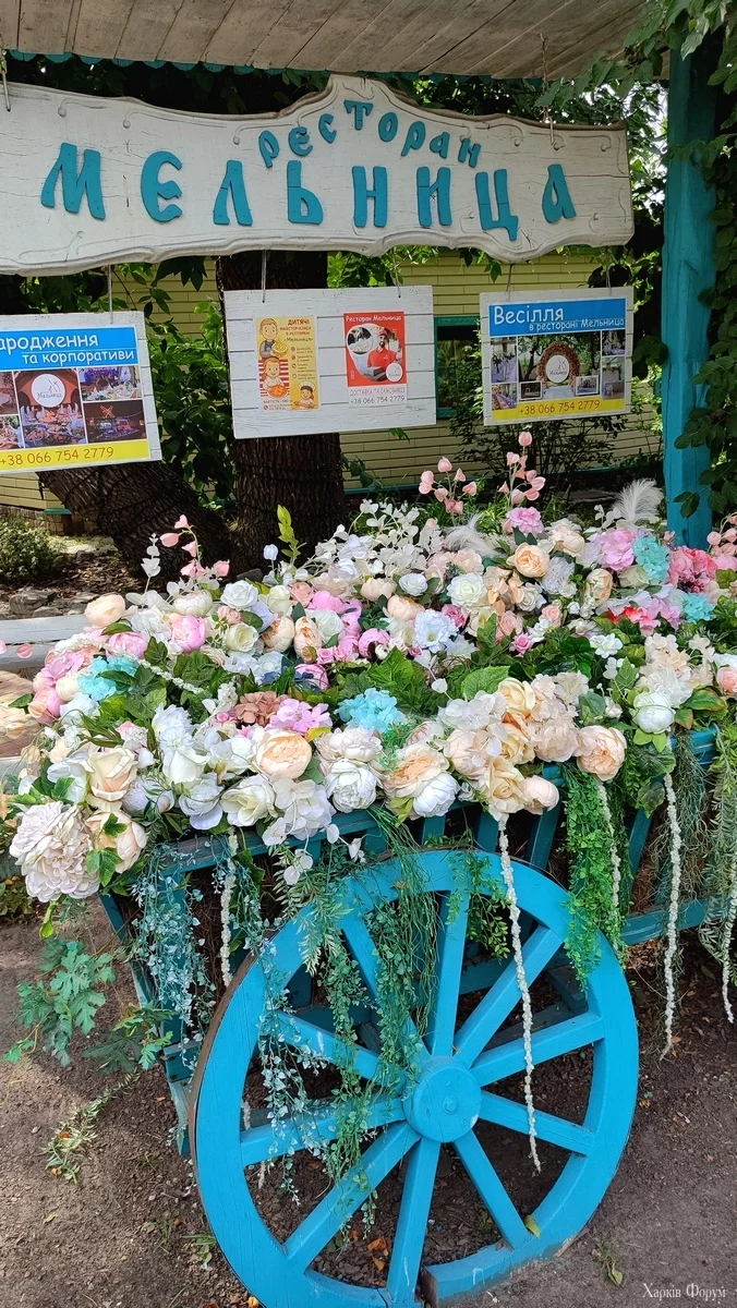IMG_20250821_150943.webp