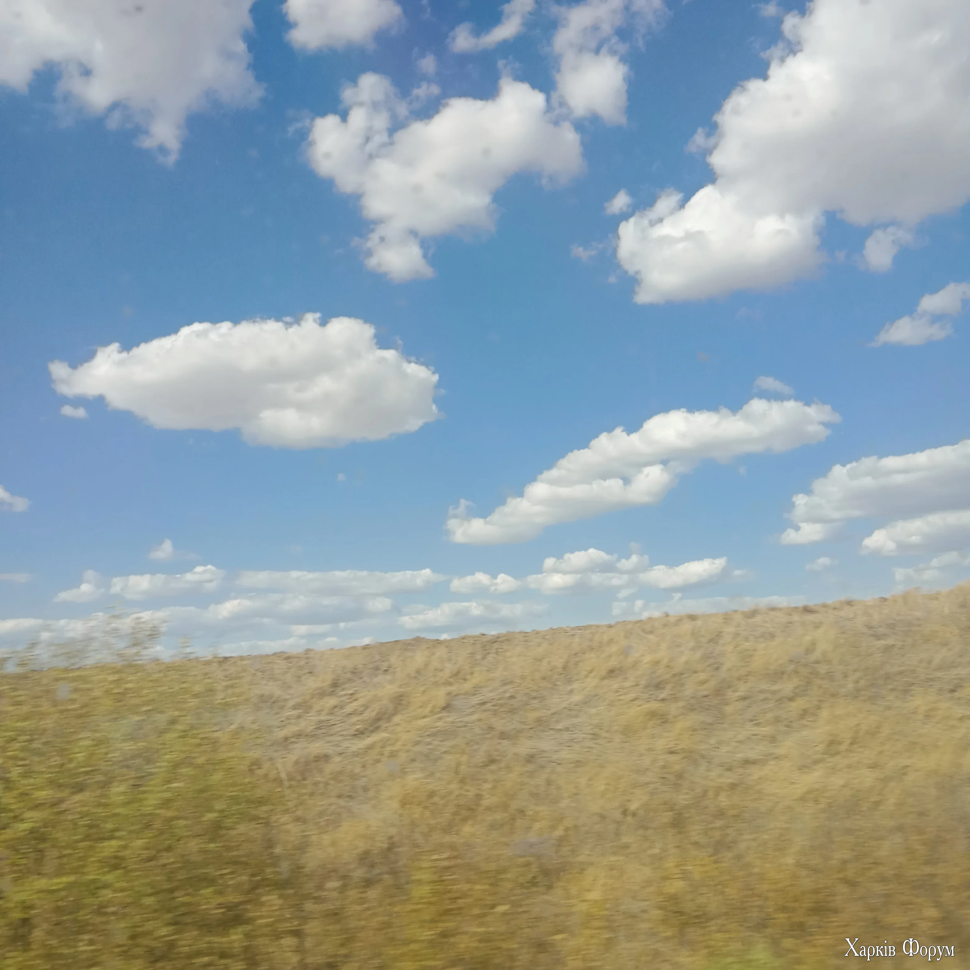 IMG_20250826_154054.webp