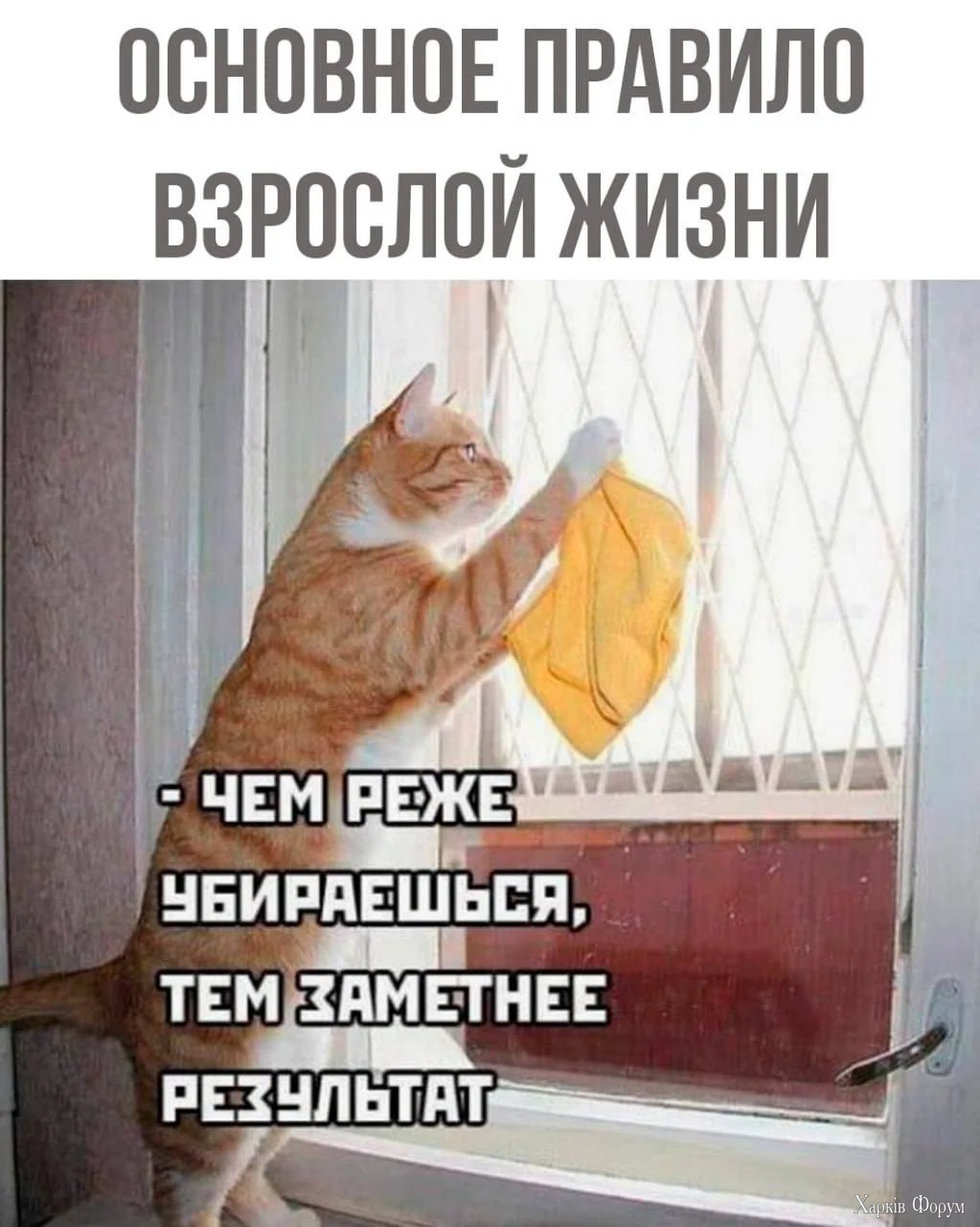 IMG_20250828_101302_457.webp