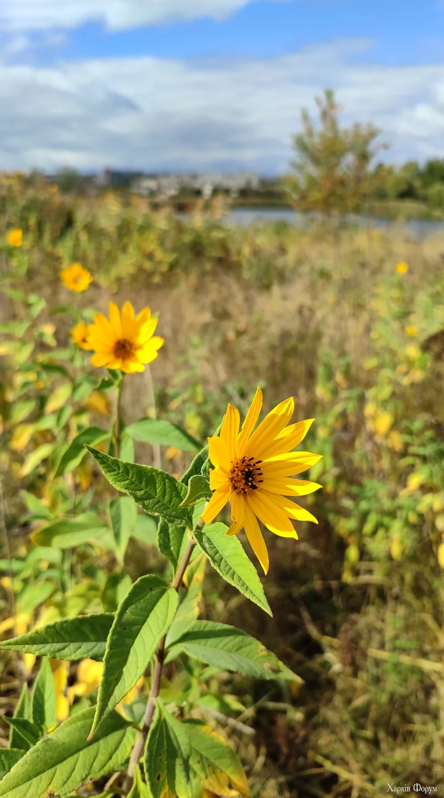 IMG_20250920_131838.webp
