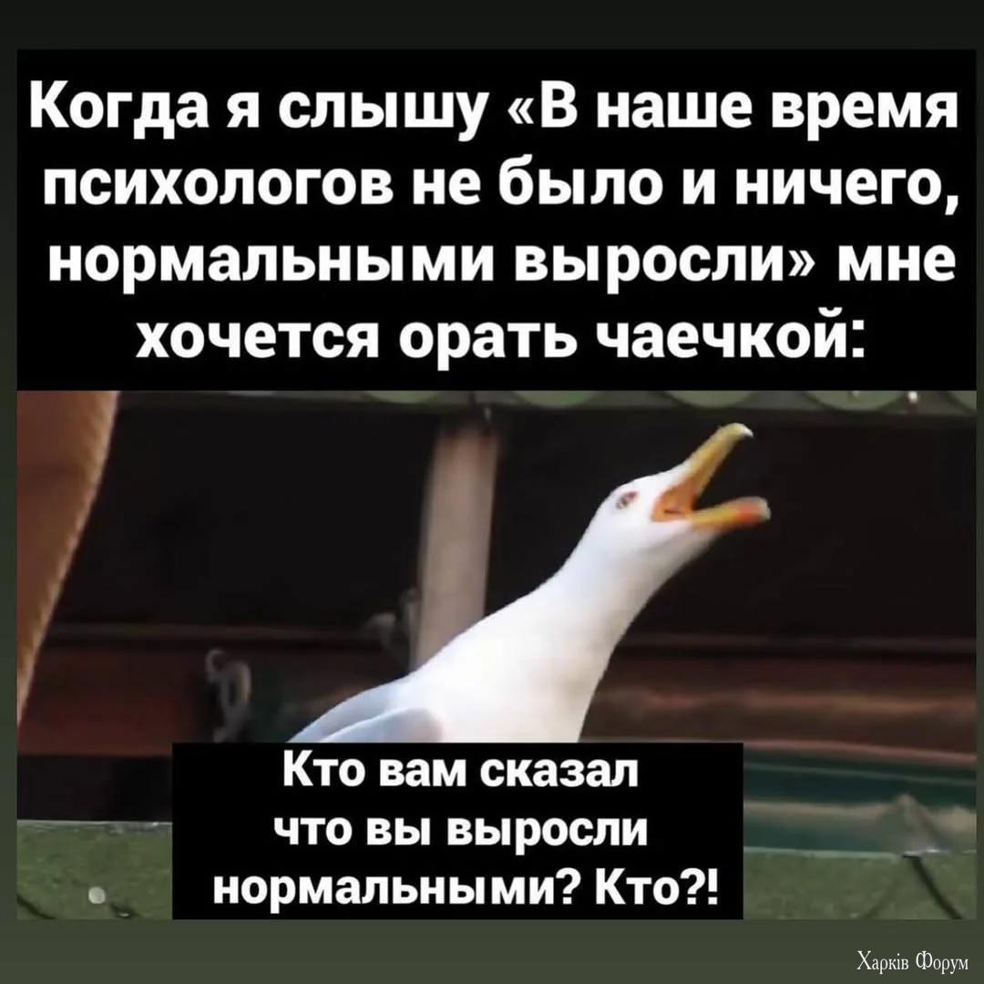 IMG_20250924_093638_771.webp