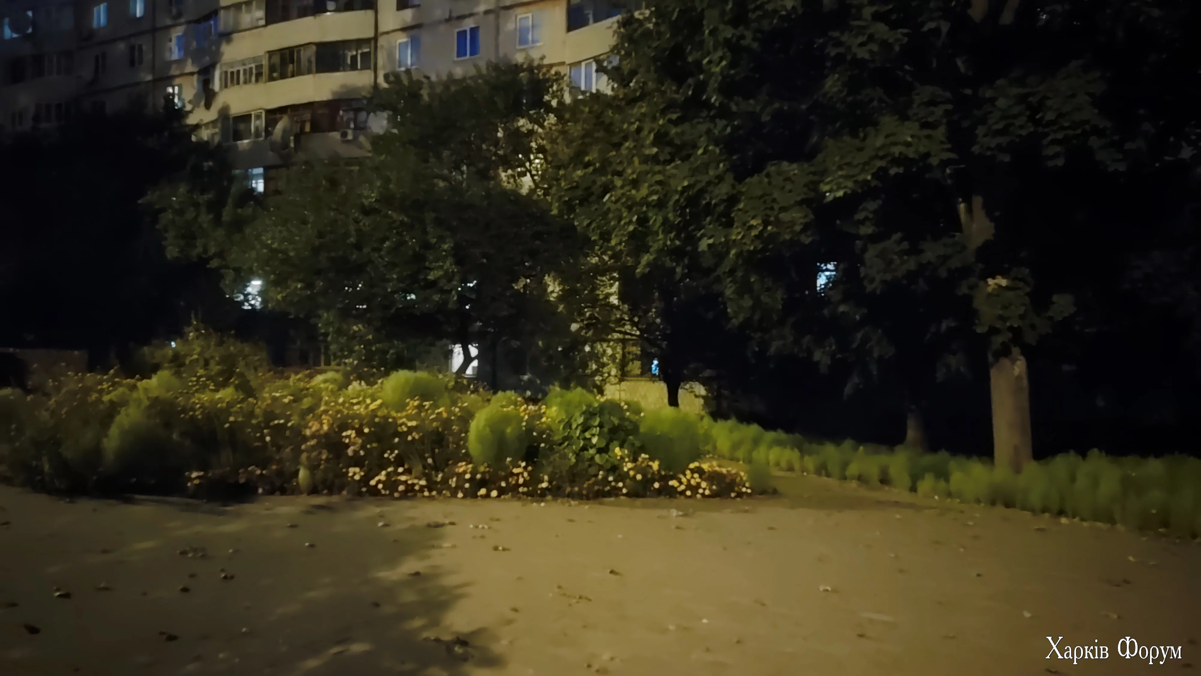 IMG_20250924_192250.webp